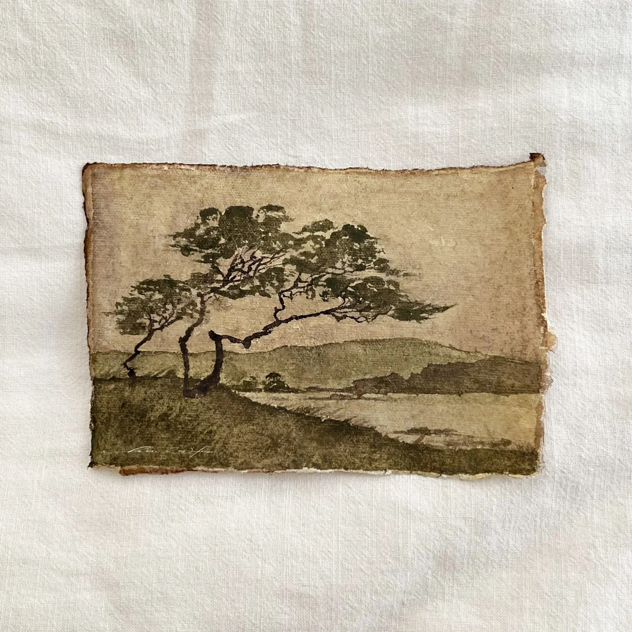 29ADB3FF-4129-4C47-84AA-E45AAF81FB2E