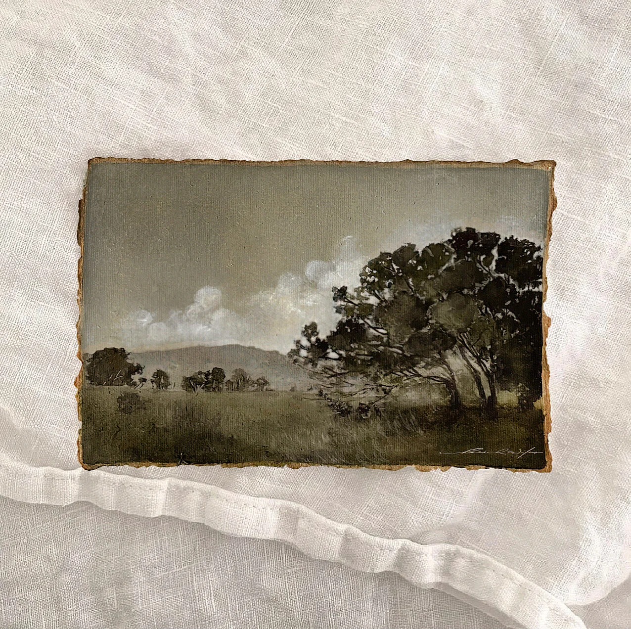 C5A575D4-BFA2-4E4F-9F07-A569AEDE125D