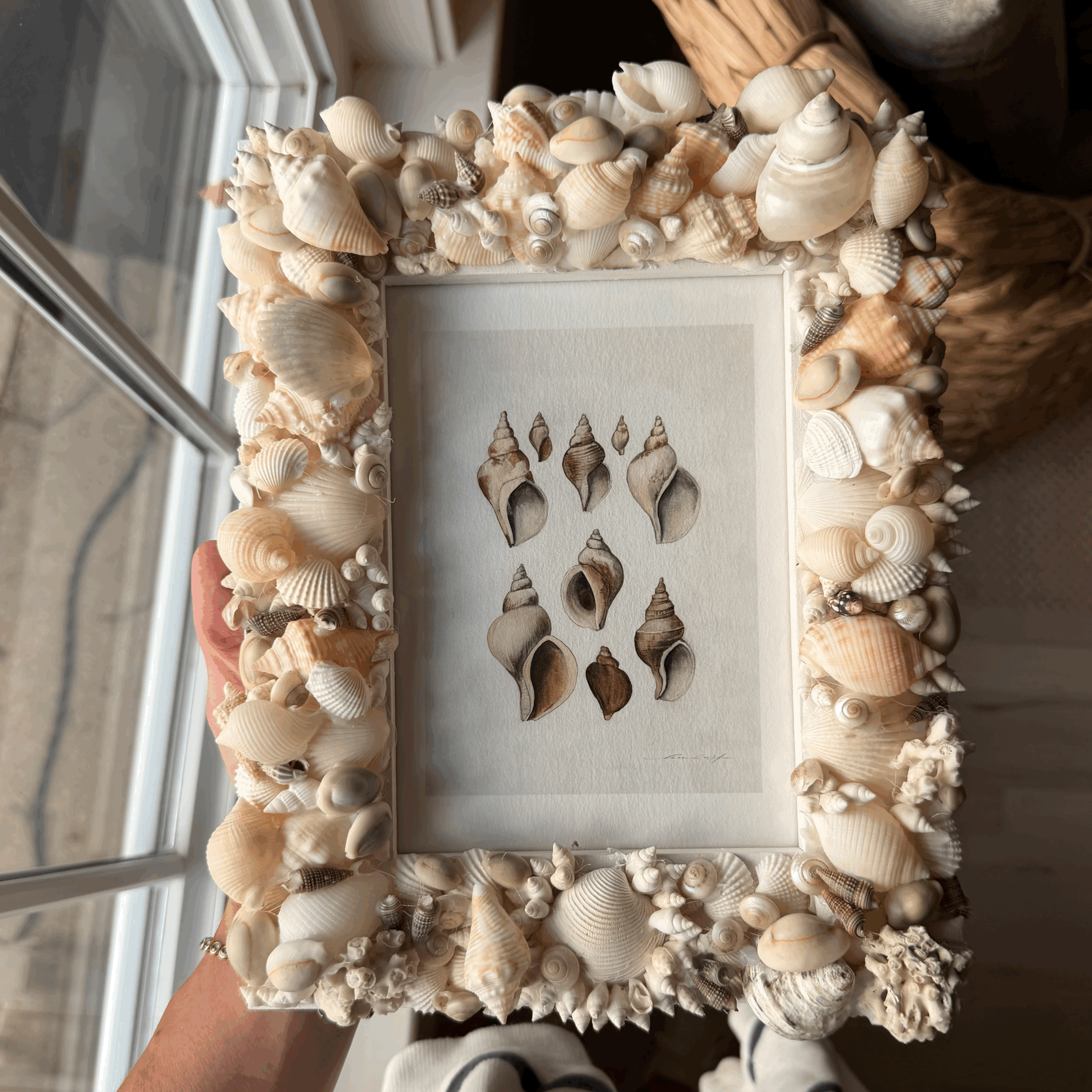 handmade shell frame with mollusque print