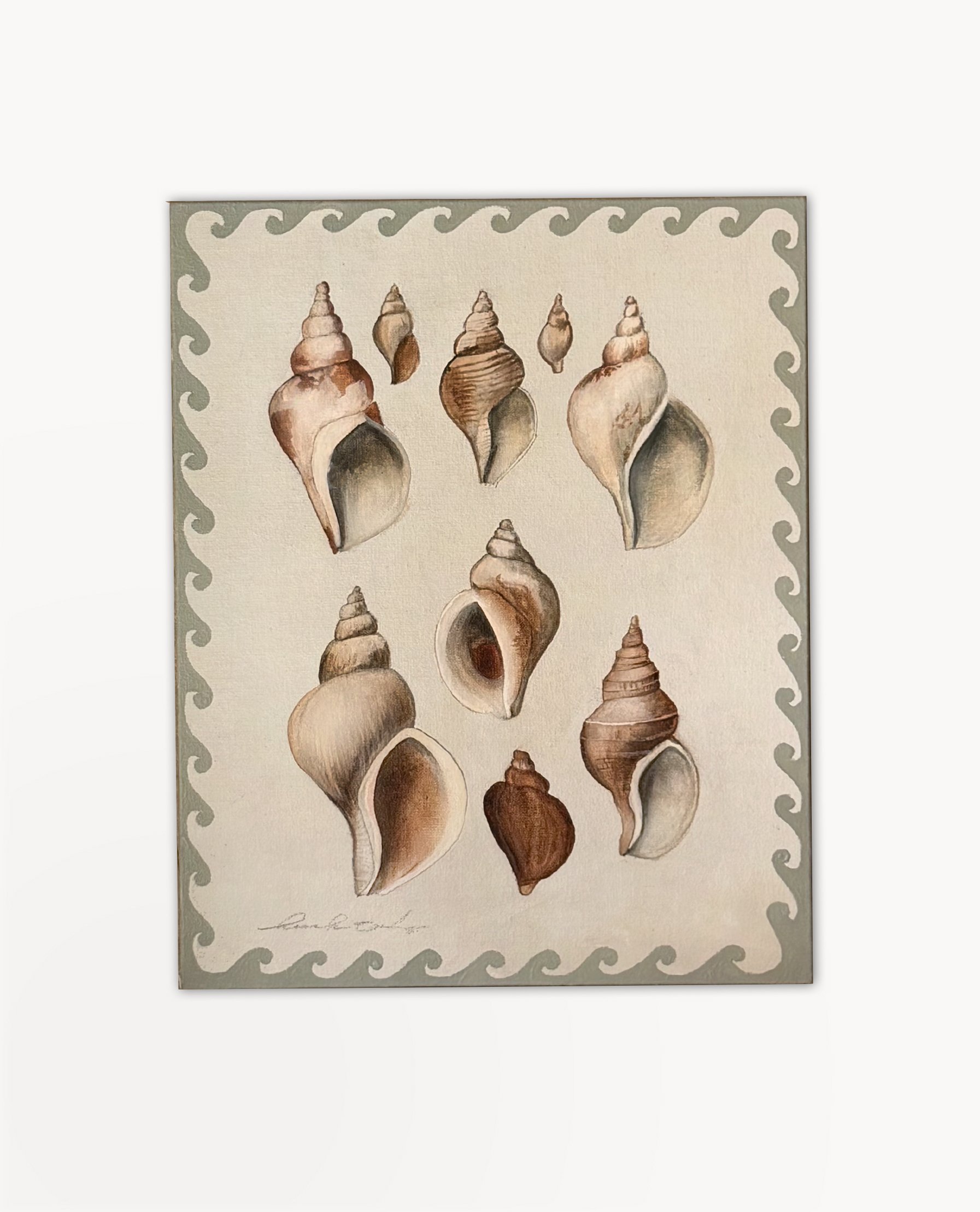 mollusques no.2