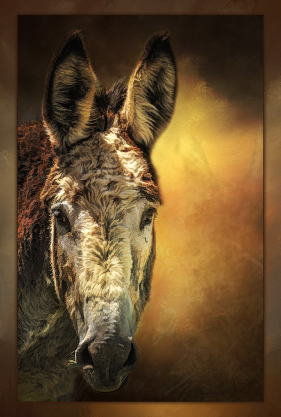 Lonely Donkey Quilt Panel WFR048 — FOCUS on FABRIC