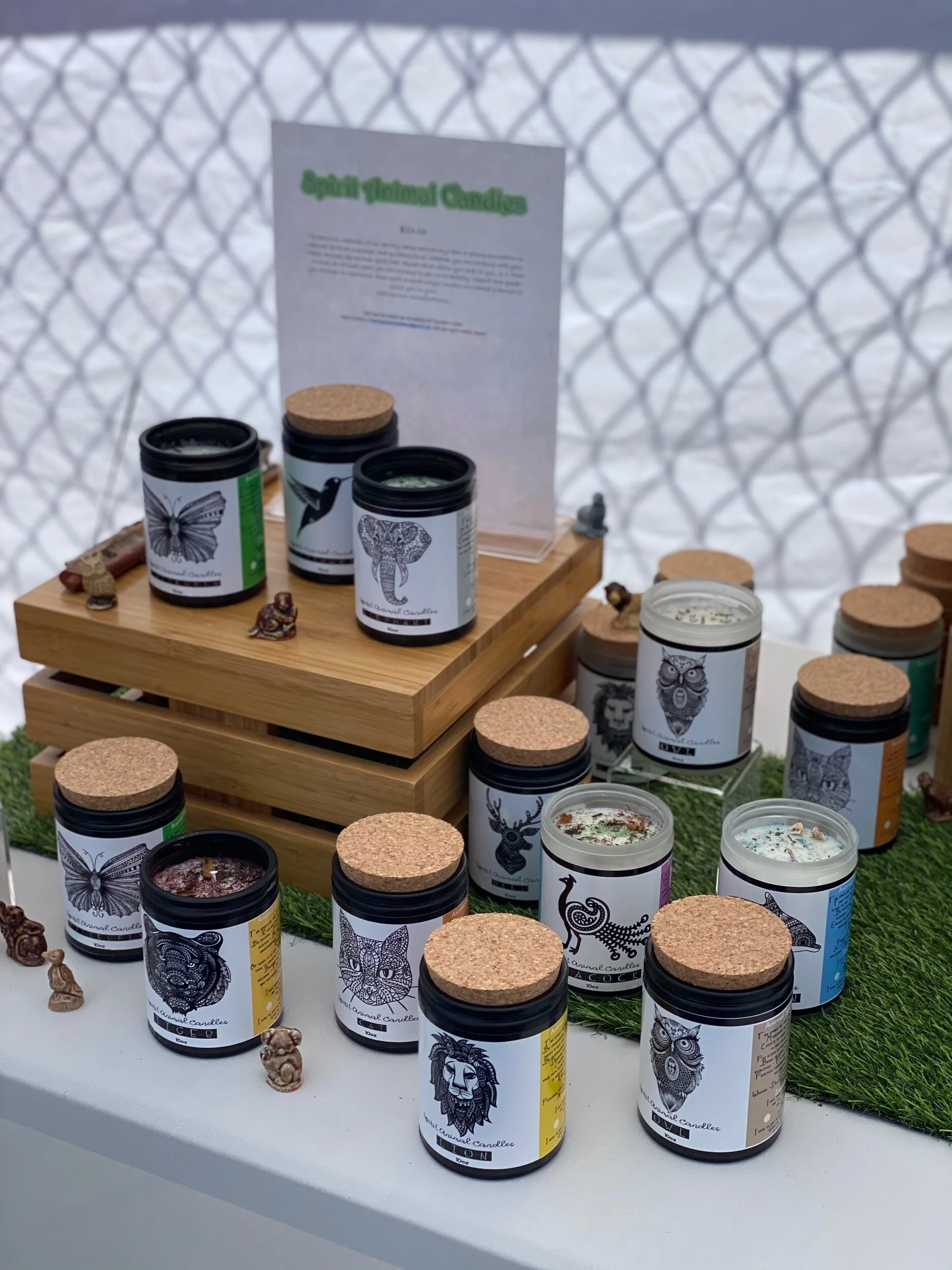 F32754C9-4C2A-4E10-ABB3-0552BB3B27CB