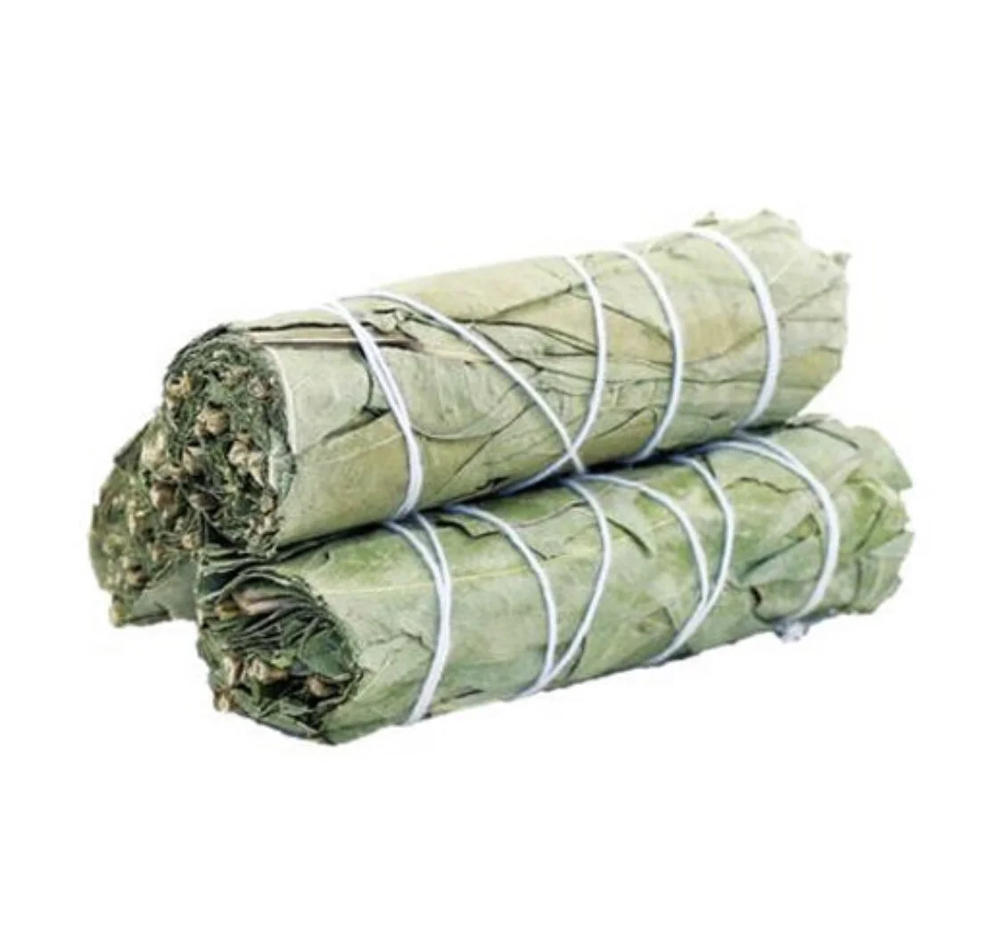 9FFA36C4-09E1-4A44-B862-26F60E86F7CE