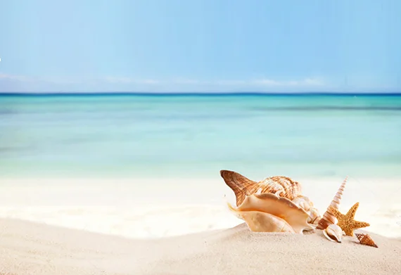 DINOSAUR_Intercontinental_thumbwork copy02.jpg