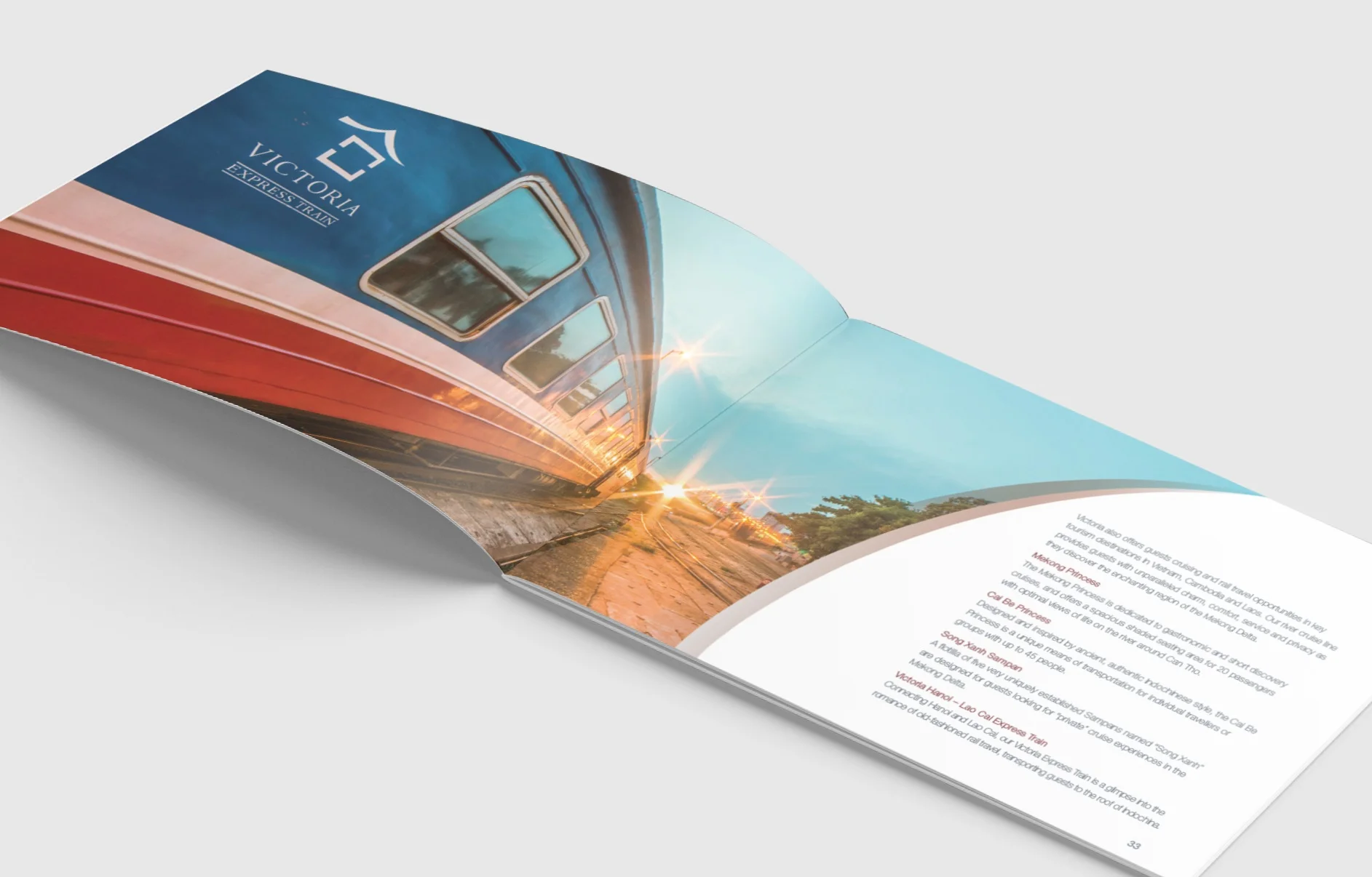 TMG brochure_Mockup_3.jpg