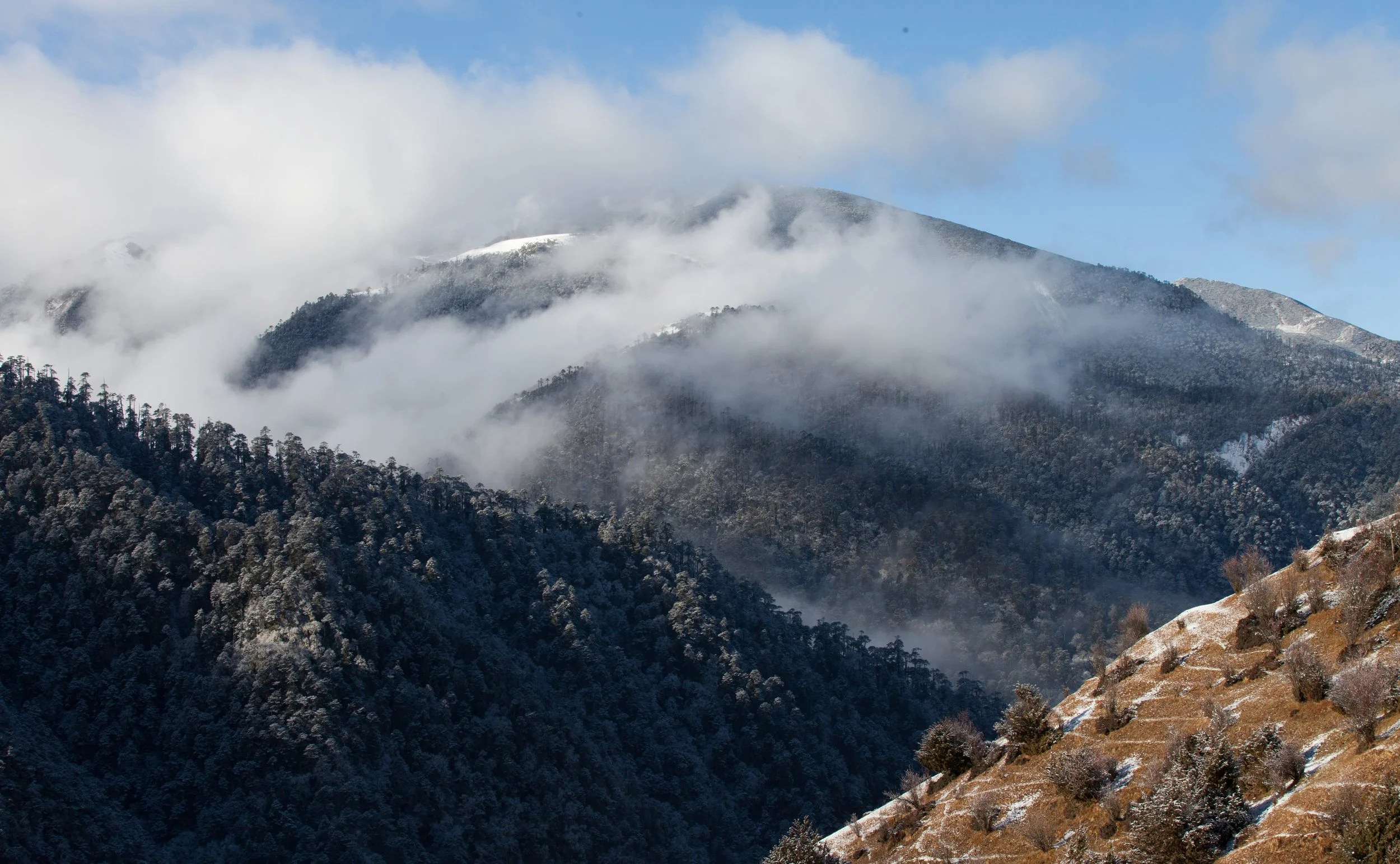 Snow dusted mountains..