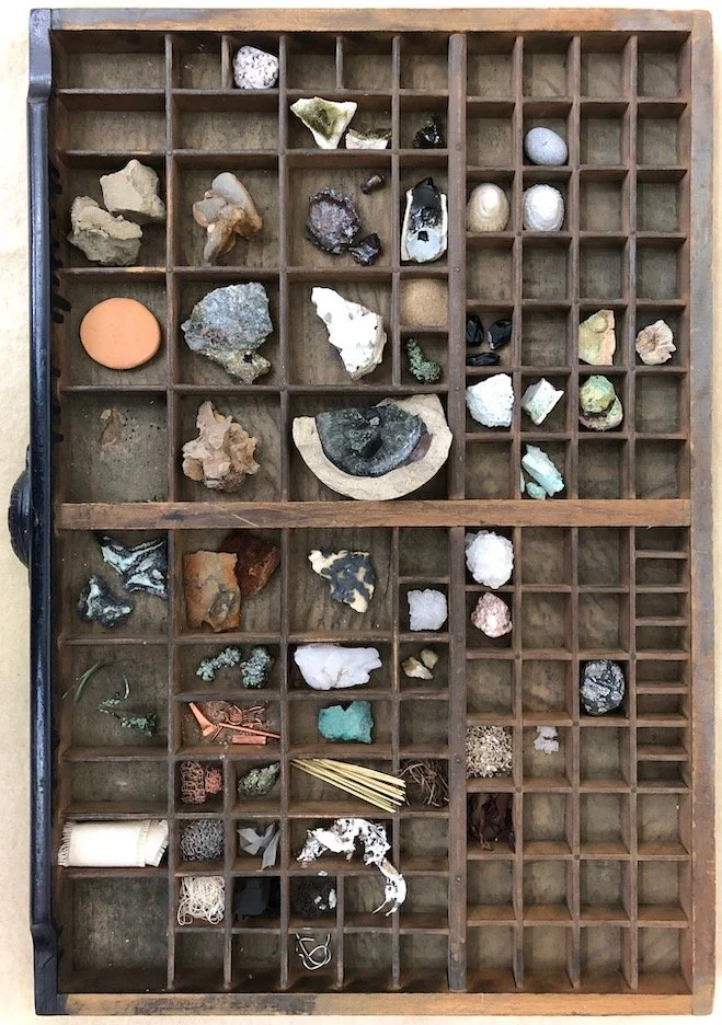 Evolving Array
