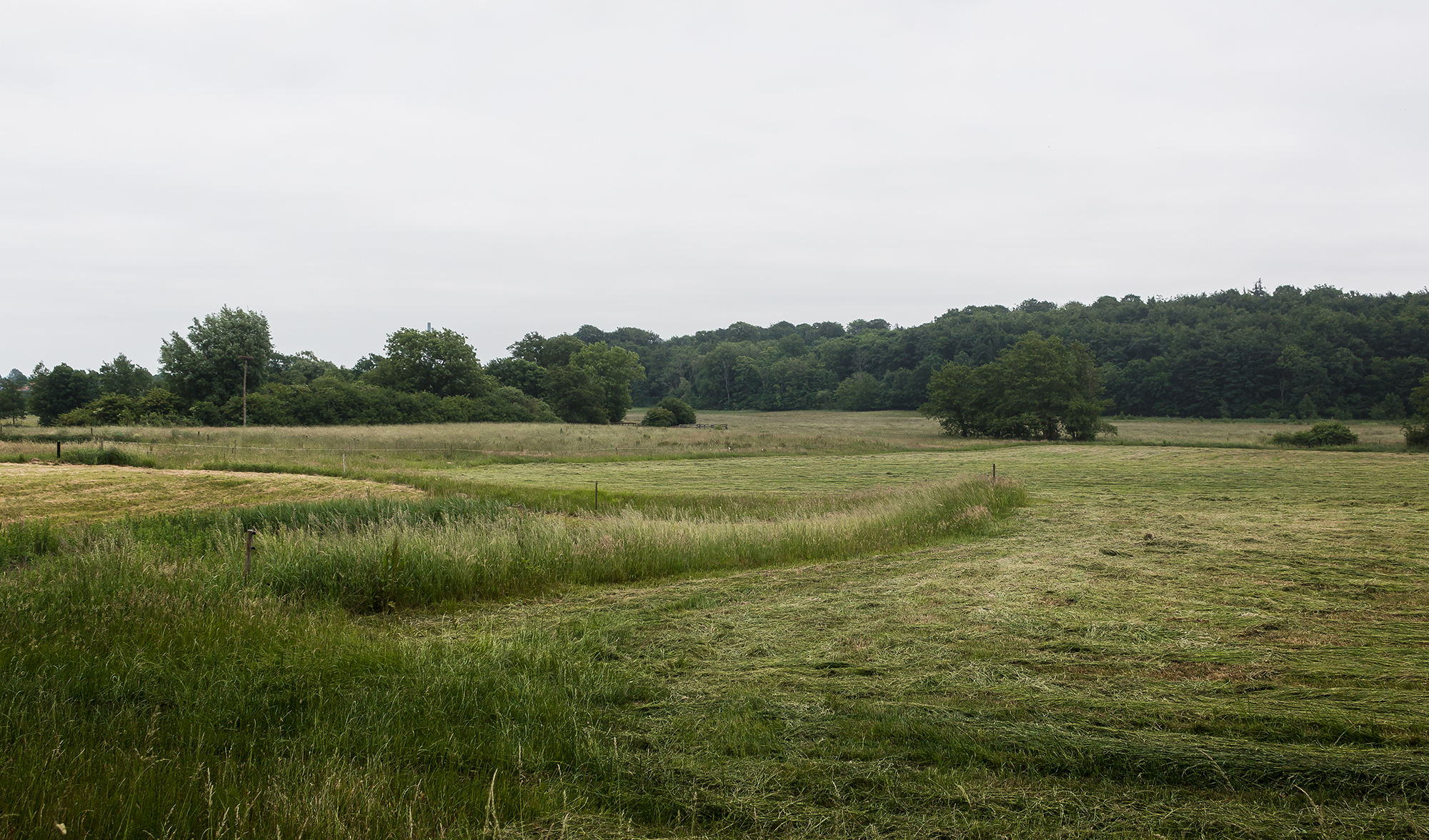 Green Fields - Mike Dugenio (1 of 8).jpg