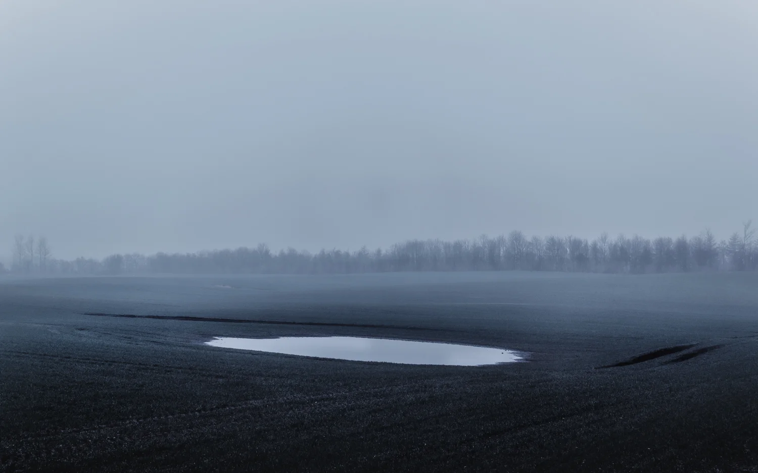 silver - Photography by Mike Dugenio.jpg