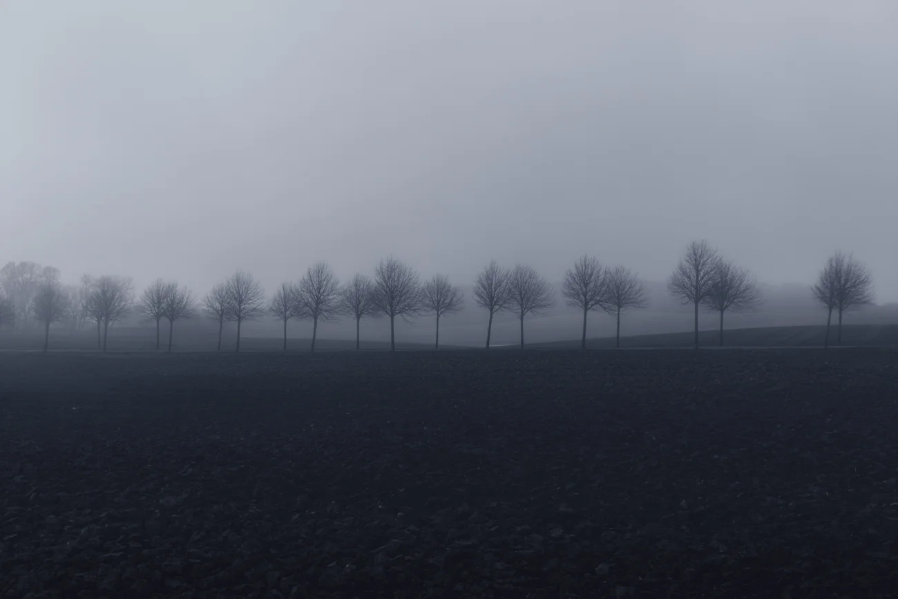 murk II - Photography by Mike Dugenio-2.jpg