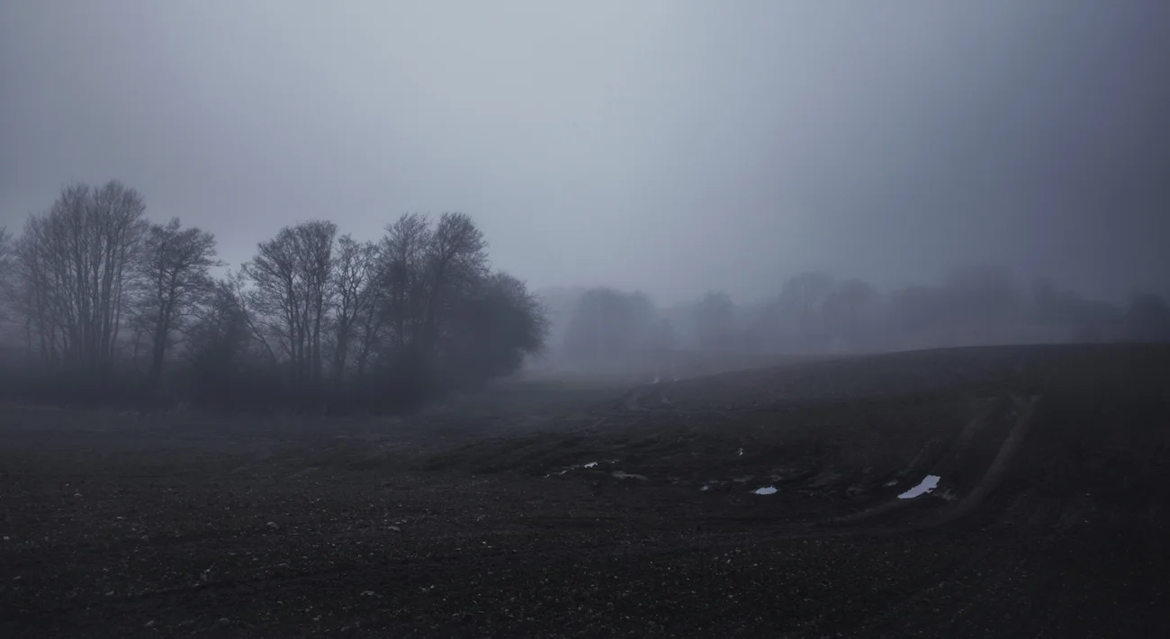 murk II - Photography by Mike Dugenio-4.jpg