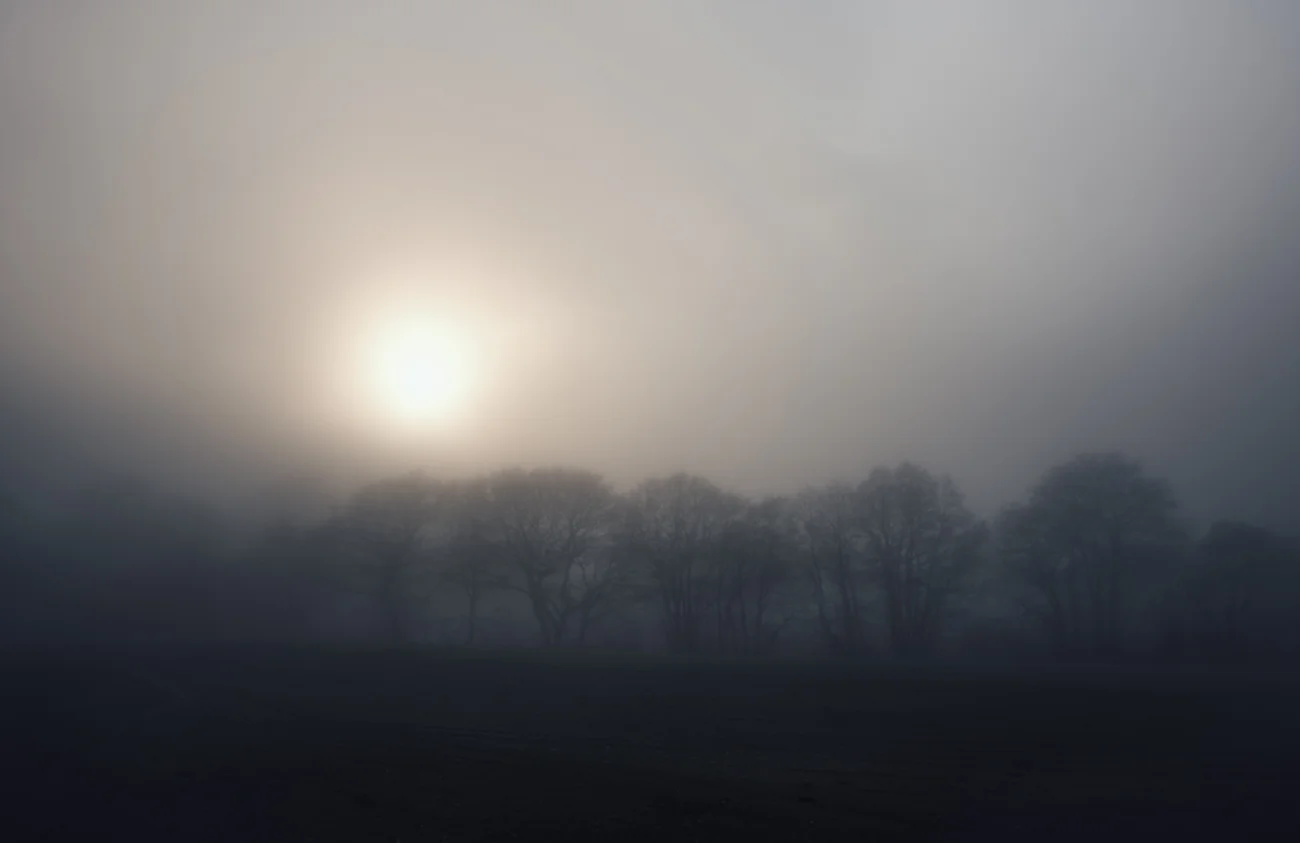 murk II - Photography by Mike Dugenio-5.jpg