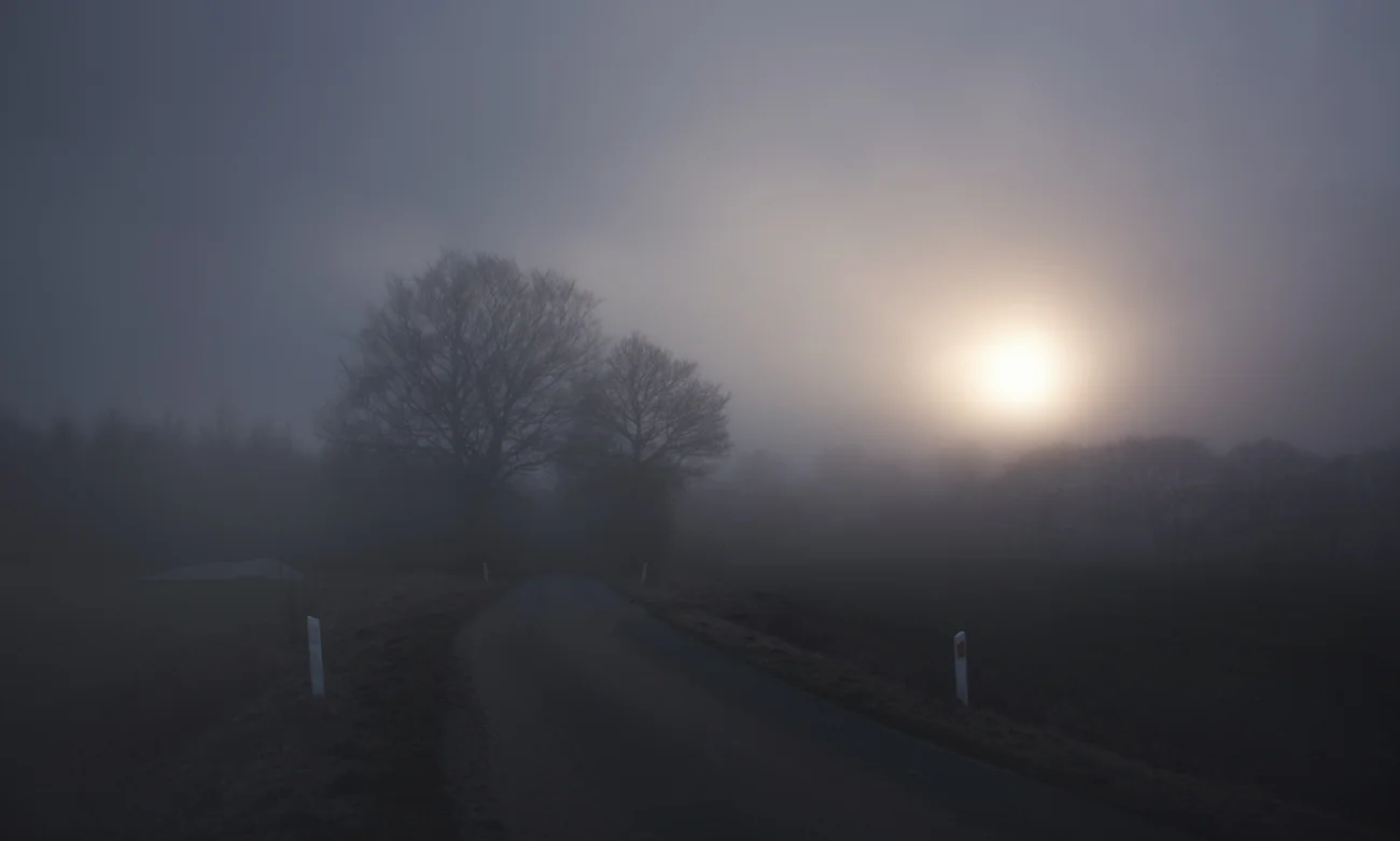 murk II - Photography by Mike Dugenio-6.jpg
