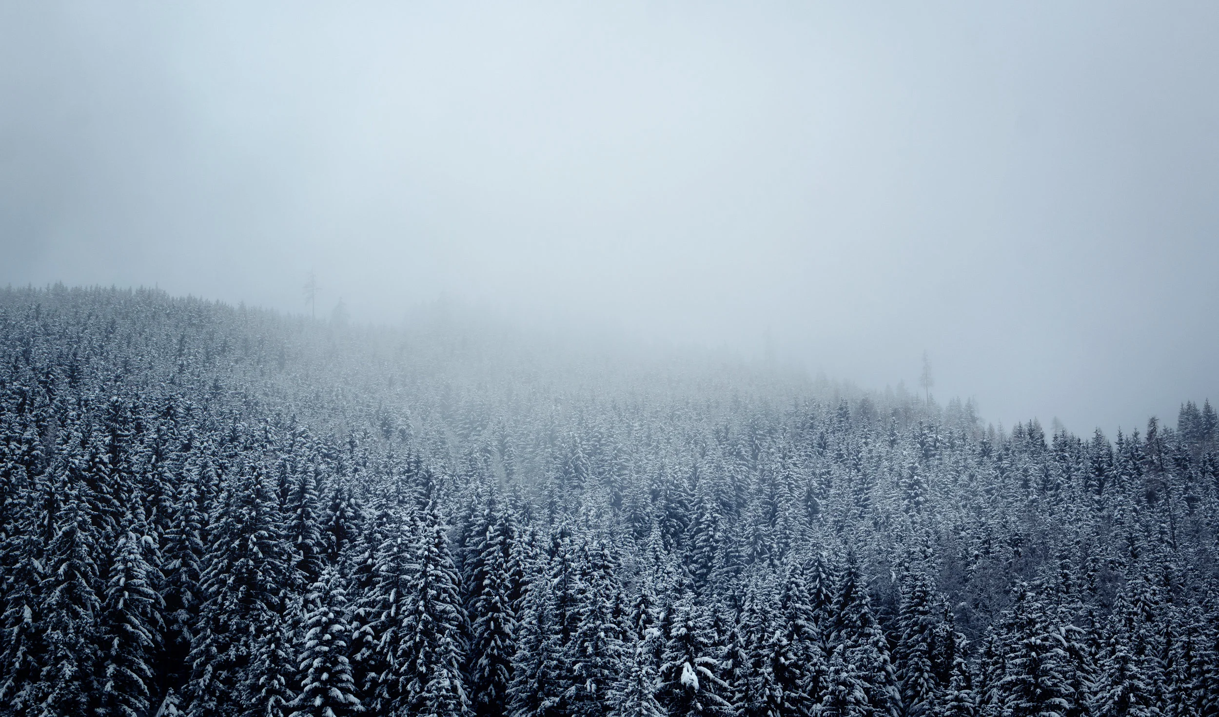 Mountains and Sun VOL2 - Mike Dugenio -_-14.jpg