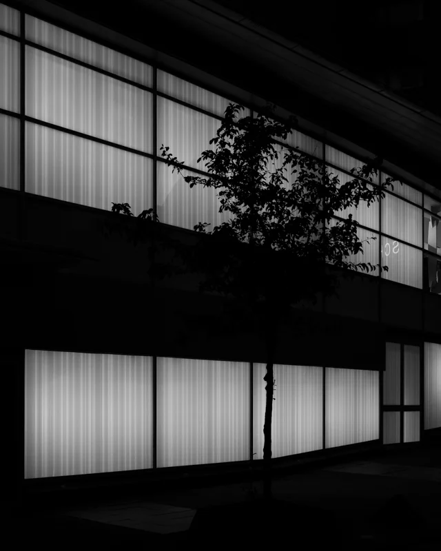 dotdotdot (1 of 4).jpg