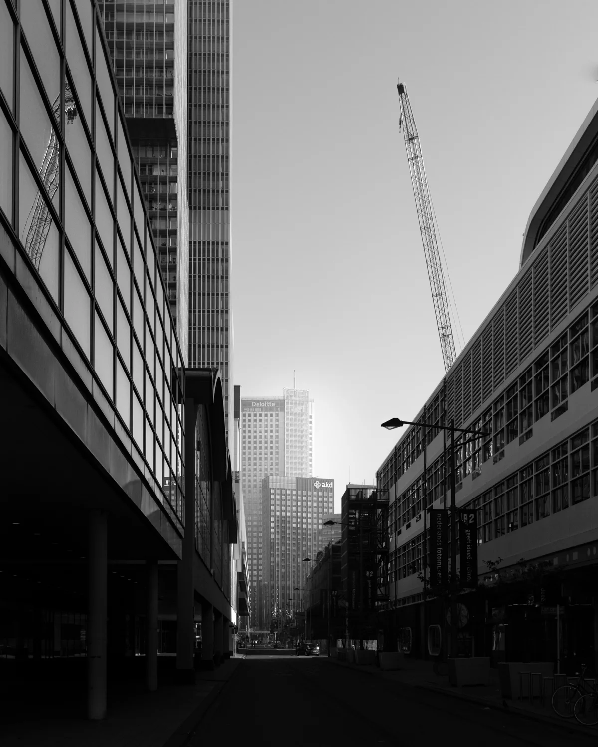 roffa Mike Dugenio (6 of 12).jpg