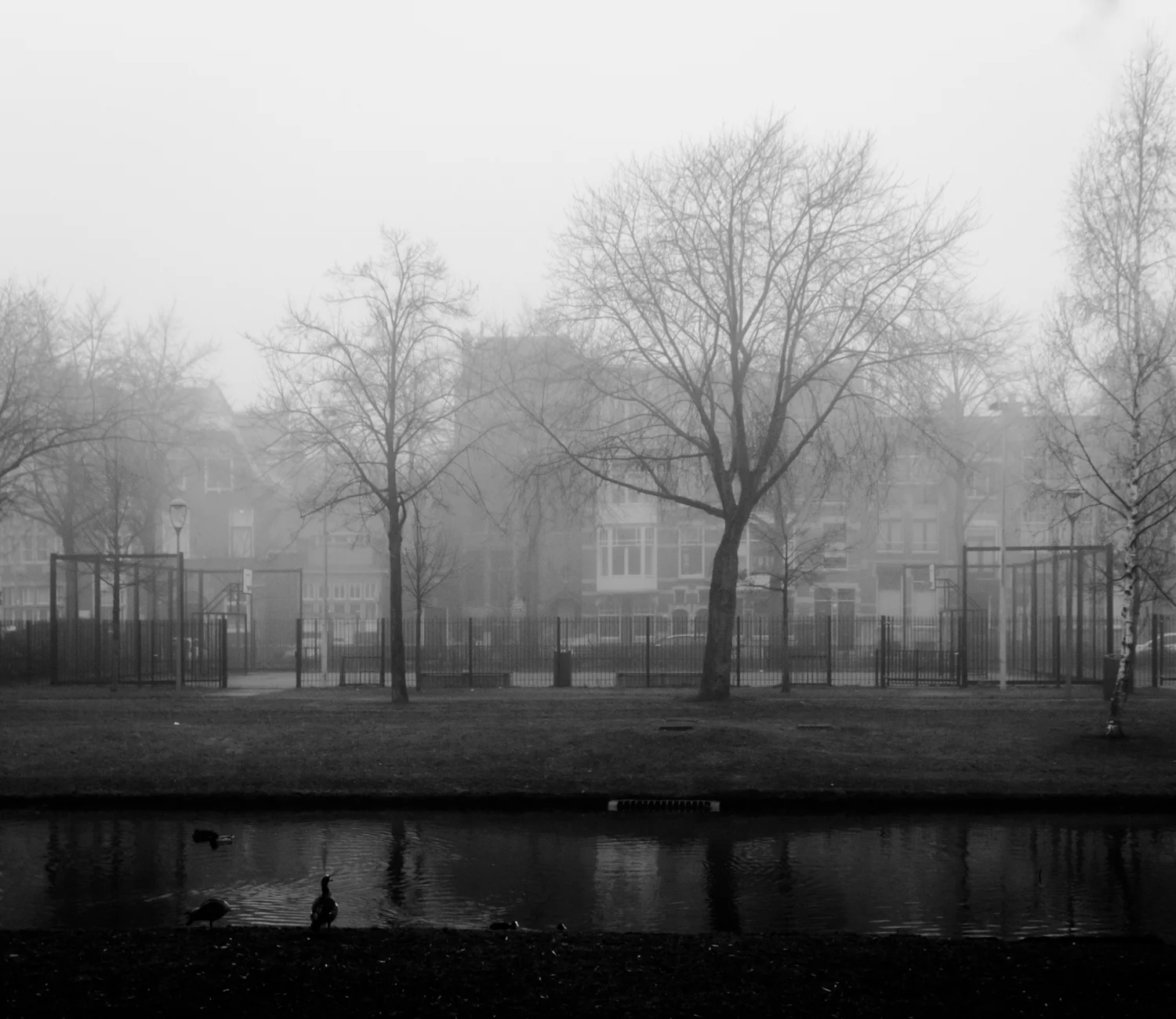 roffa Mike Dugenio (8 of 12).jpg