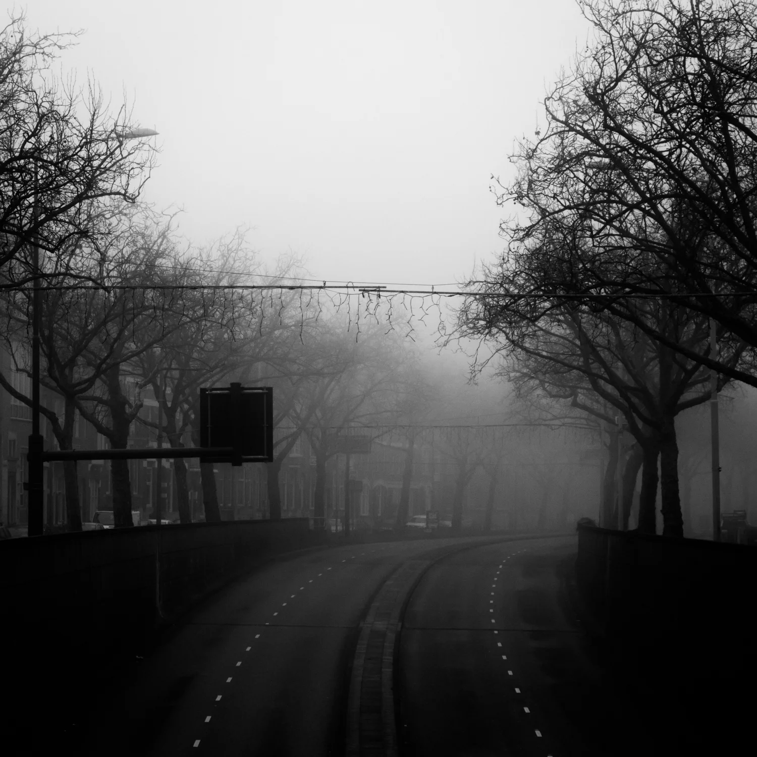 roffa Mike Dugenio (7 of 12).jpg