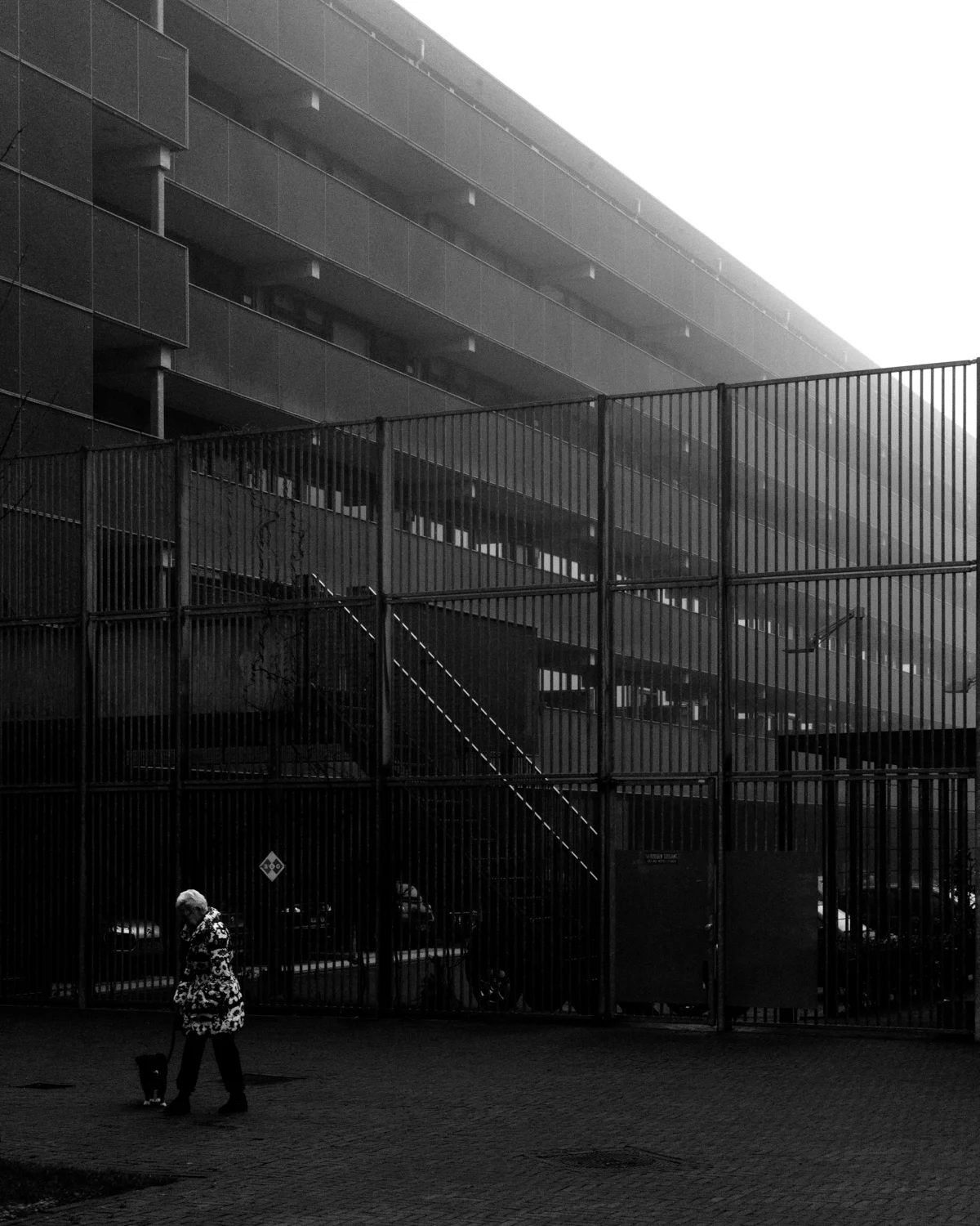 roffa Mike Dugenio (11 of 12).jpg