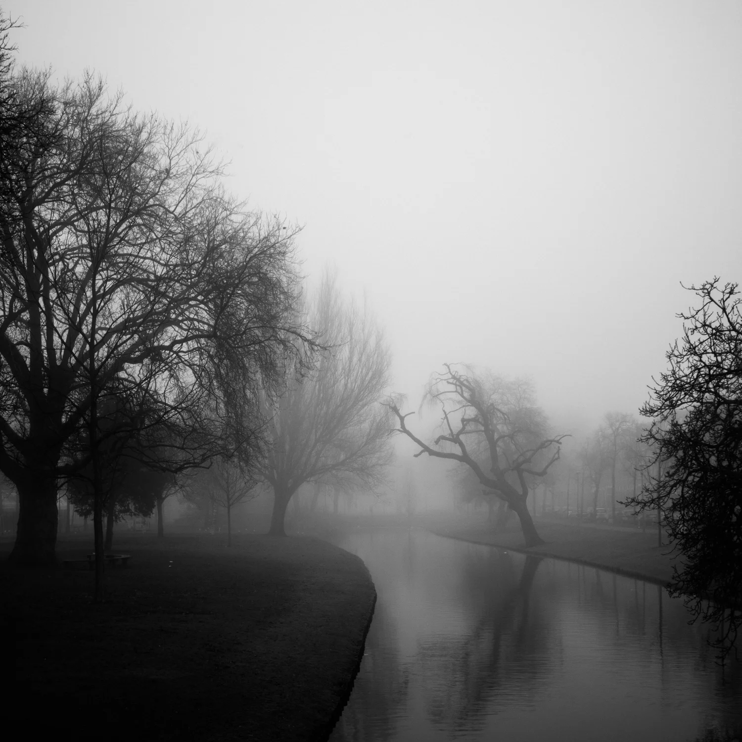 roffa Mike Dugenio (9 of 12).jpg