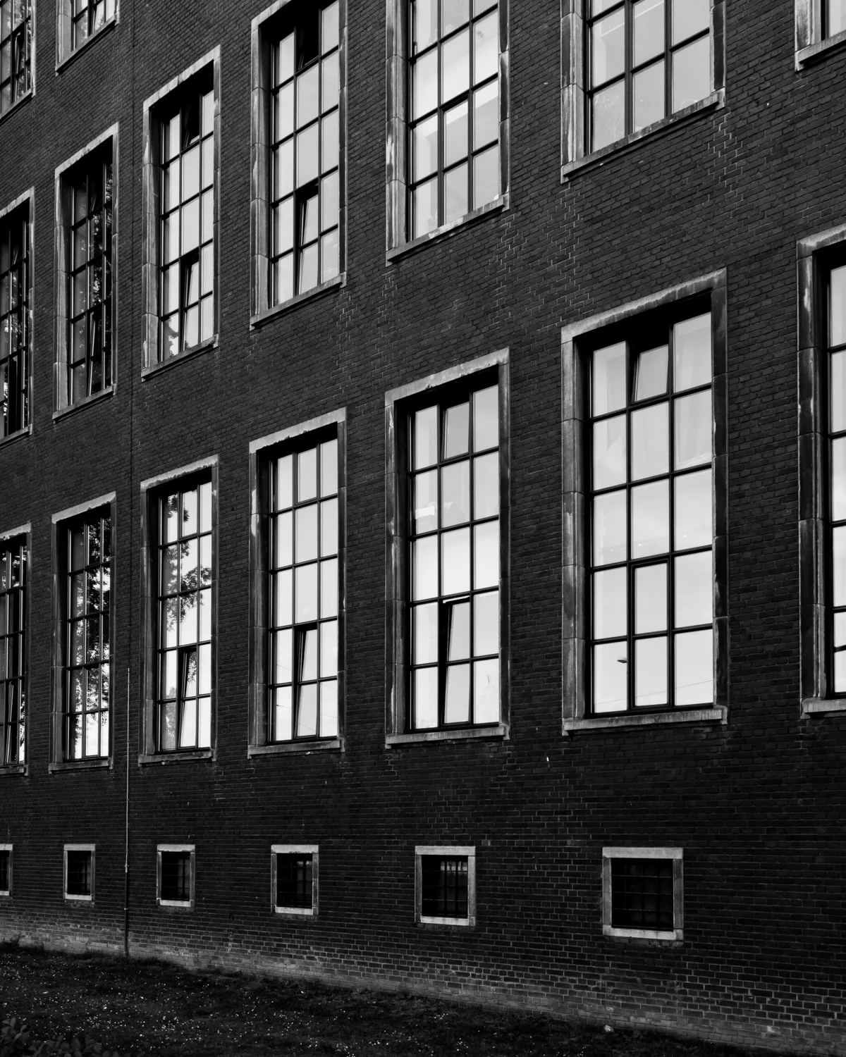 roffa Mike Dugenio (12 of 12).jpg