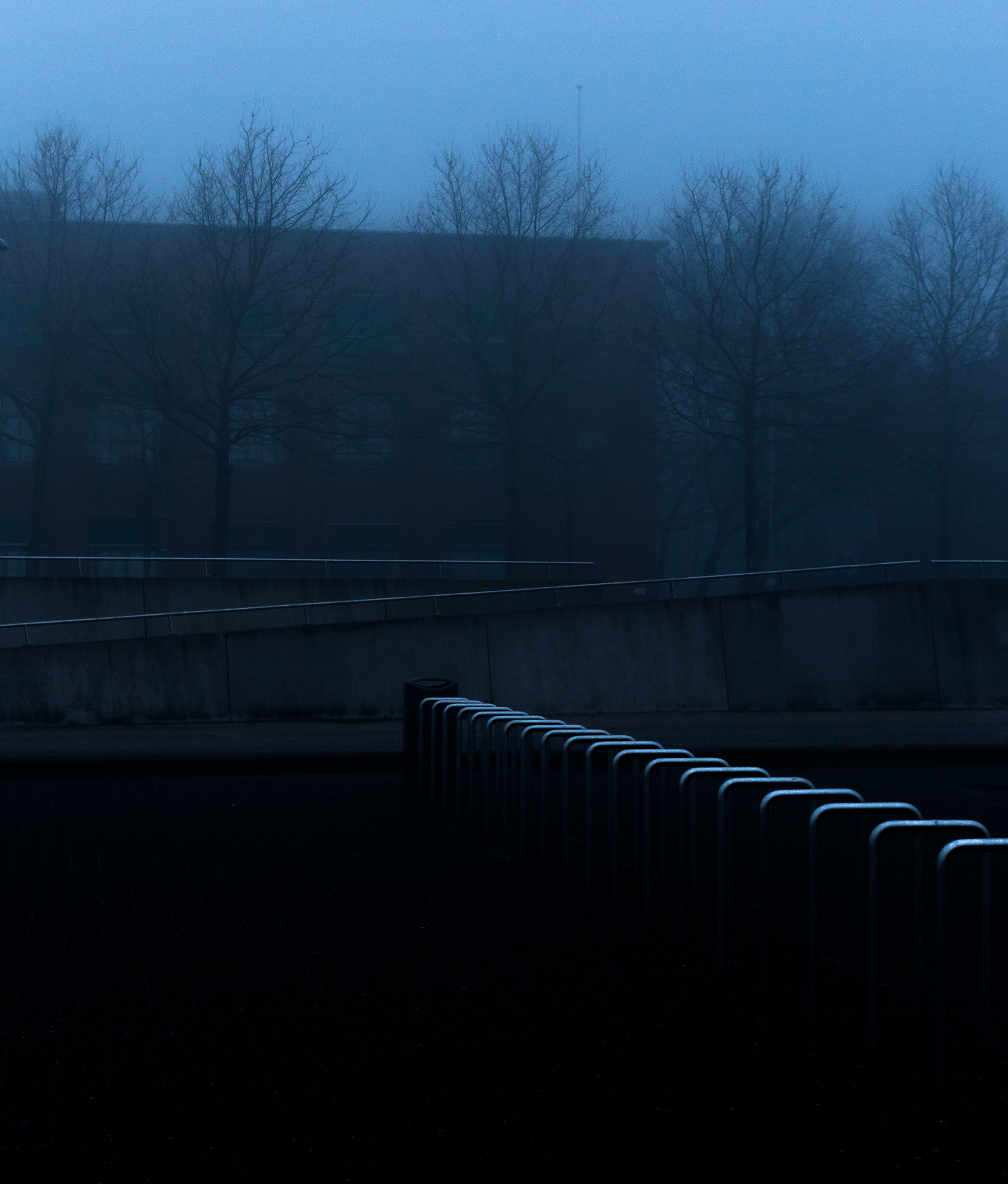 BLUE LIGHT MikeDugenio (10 of 15).jpg