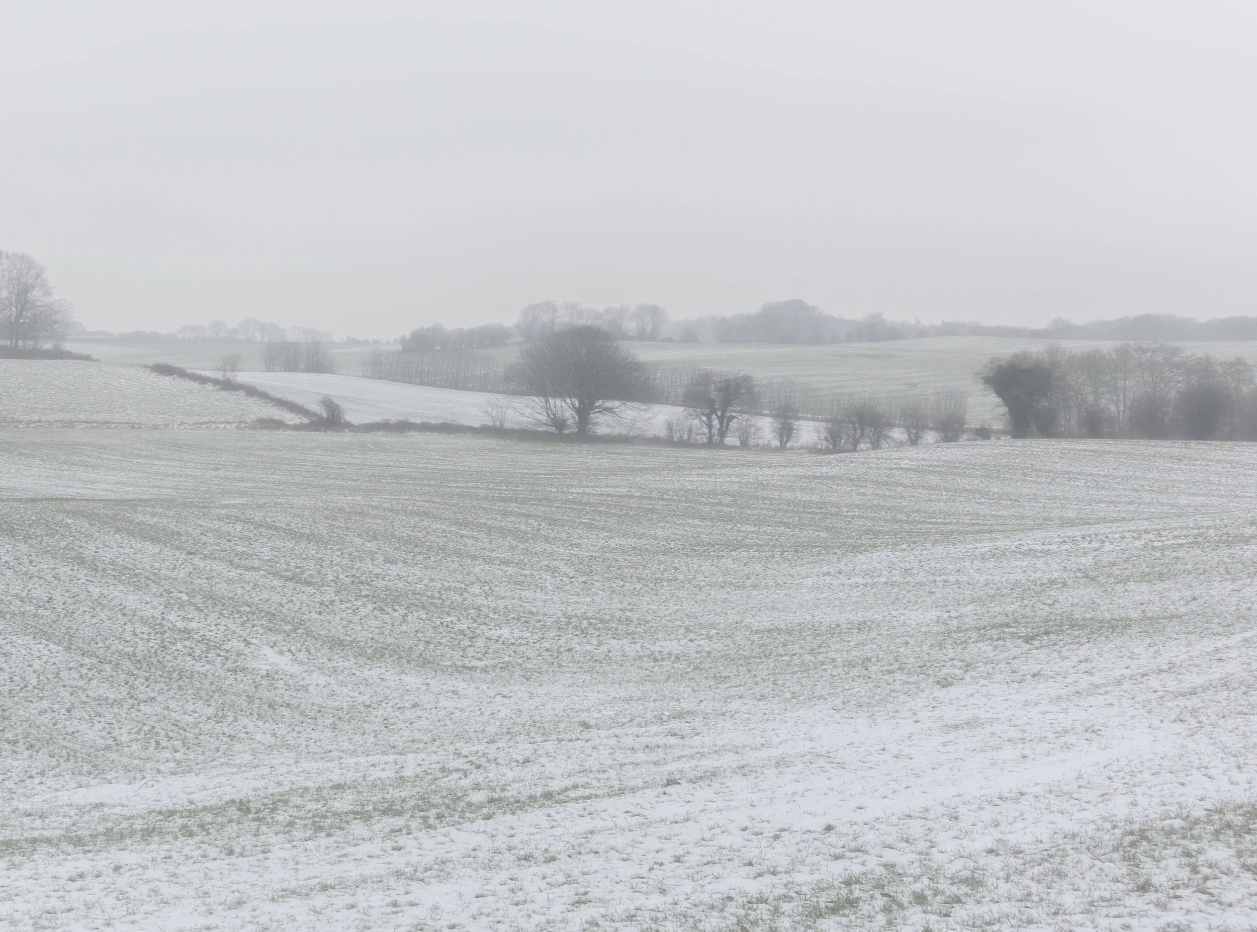 Flat - Photography by Mike Dugenio (1 of 4).jpg