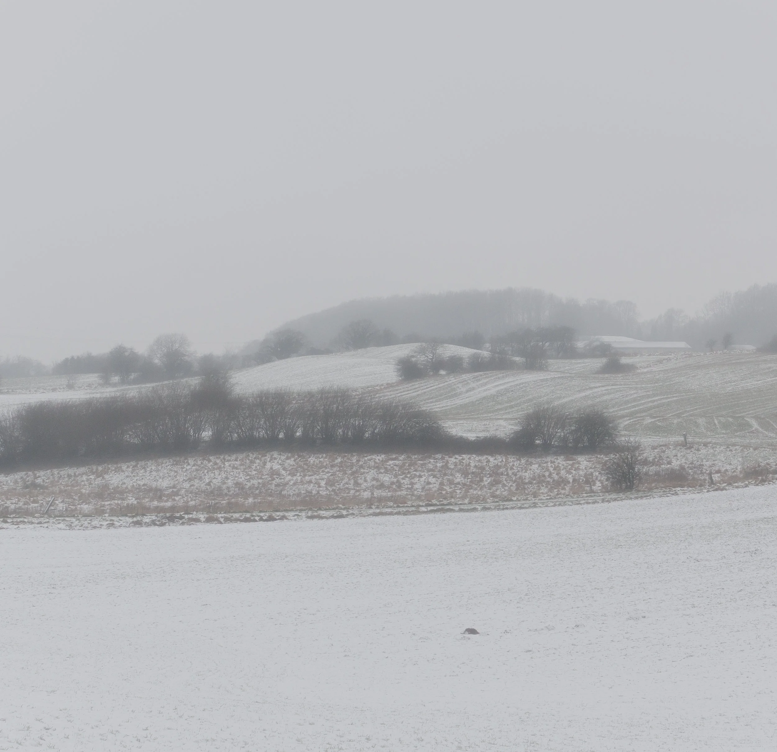 Flat - Photography by Mike Dugenio (2 of 4).jpg