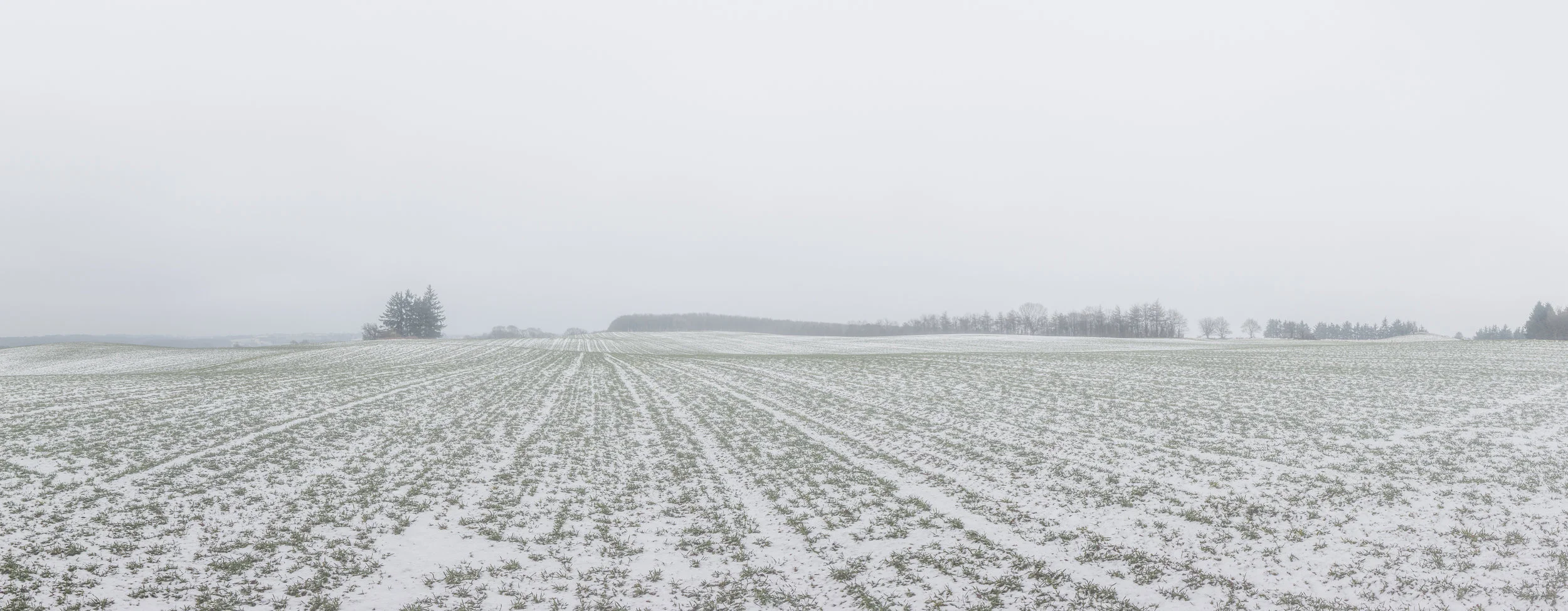 Flat - Photography by Mike Dugenio (4 of 4).jpg