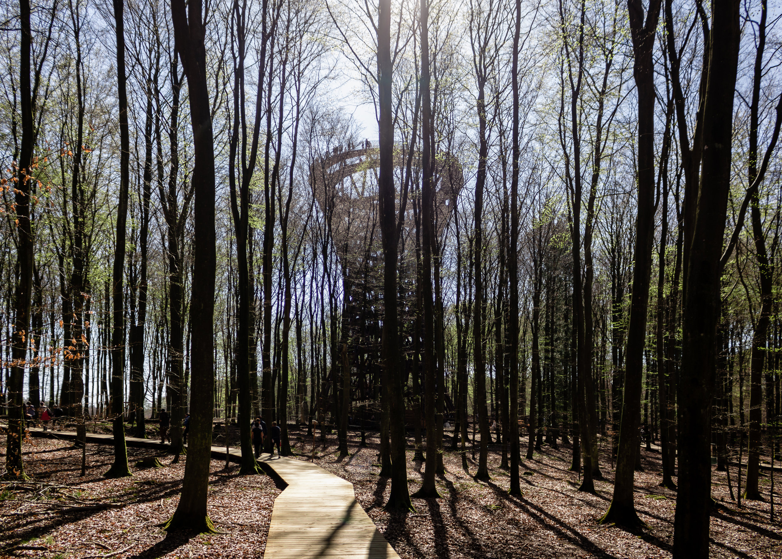 Adventure Tower Photography by Mike Dugenio (1 of 18).jpg