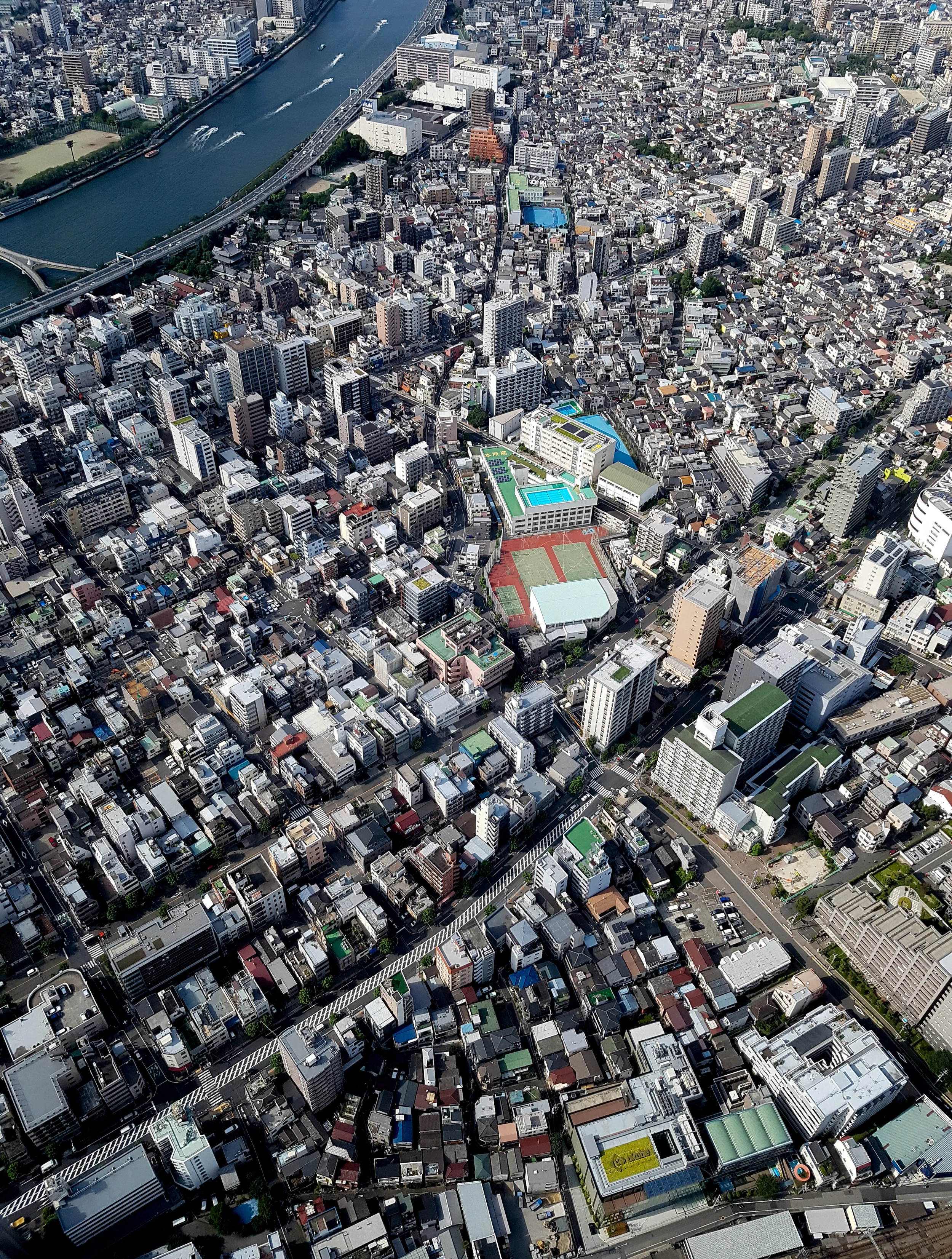 TOKYO - Mike Dugenio (1).jpg