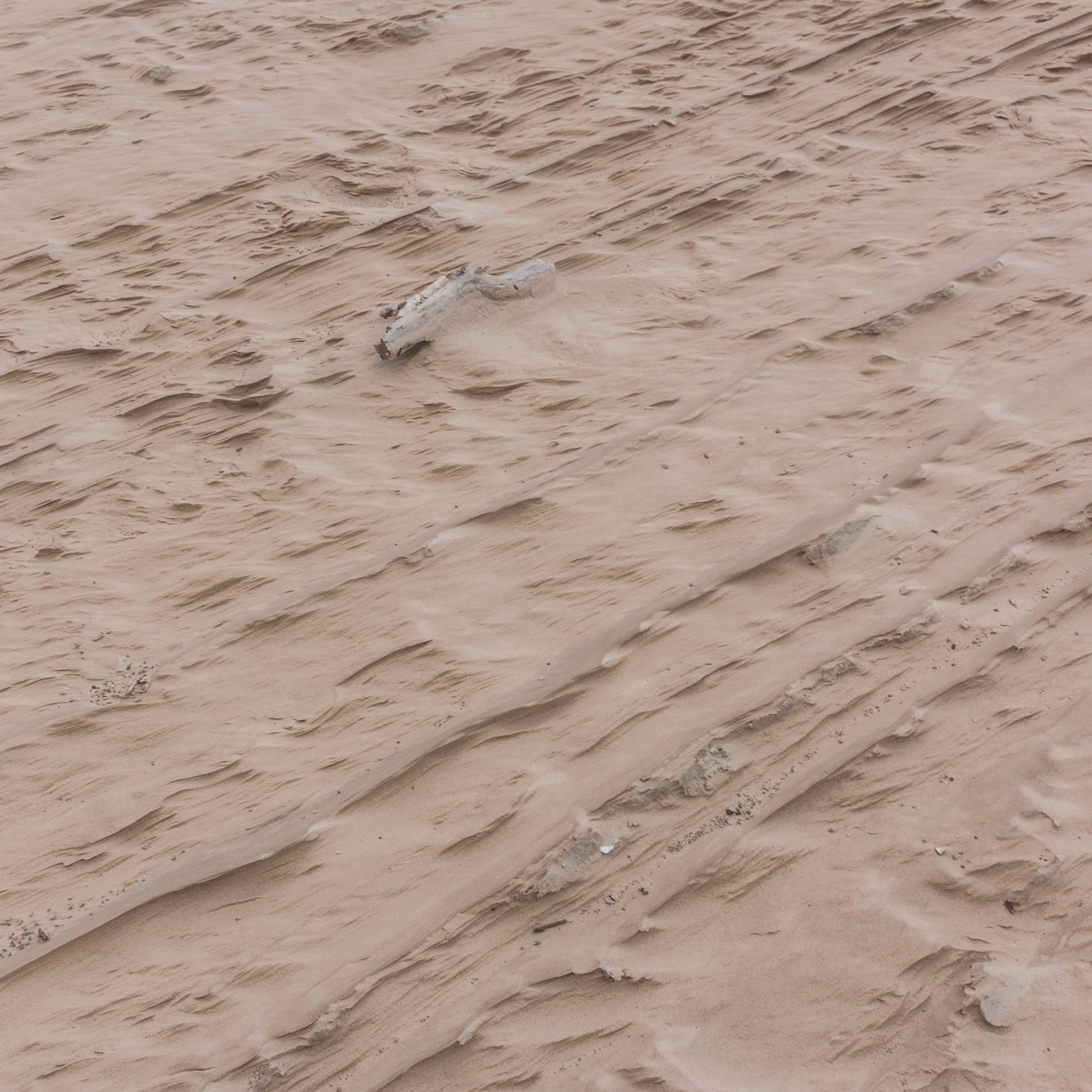 Rubjerg Knude Textures by Mike Dugenio-6.jpg