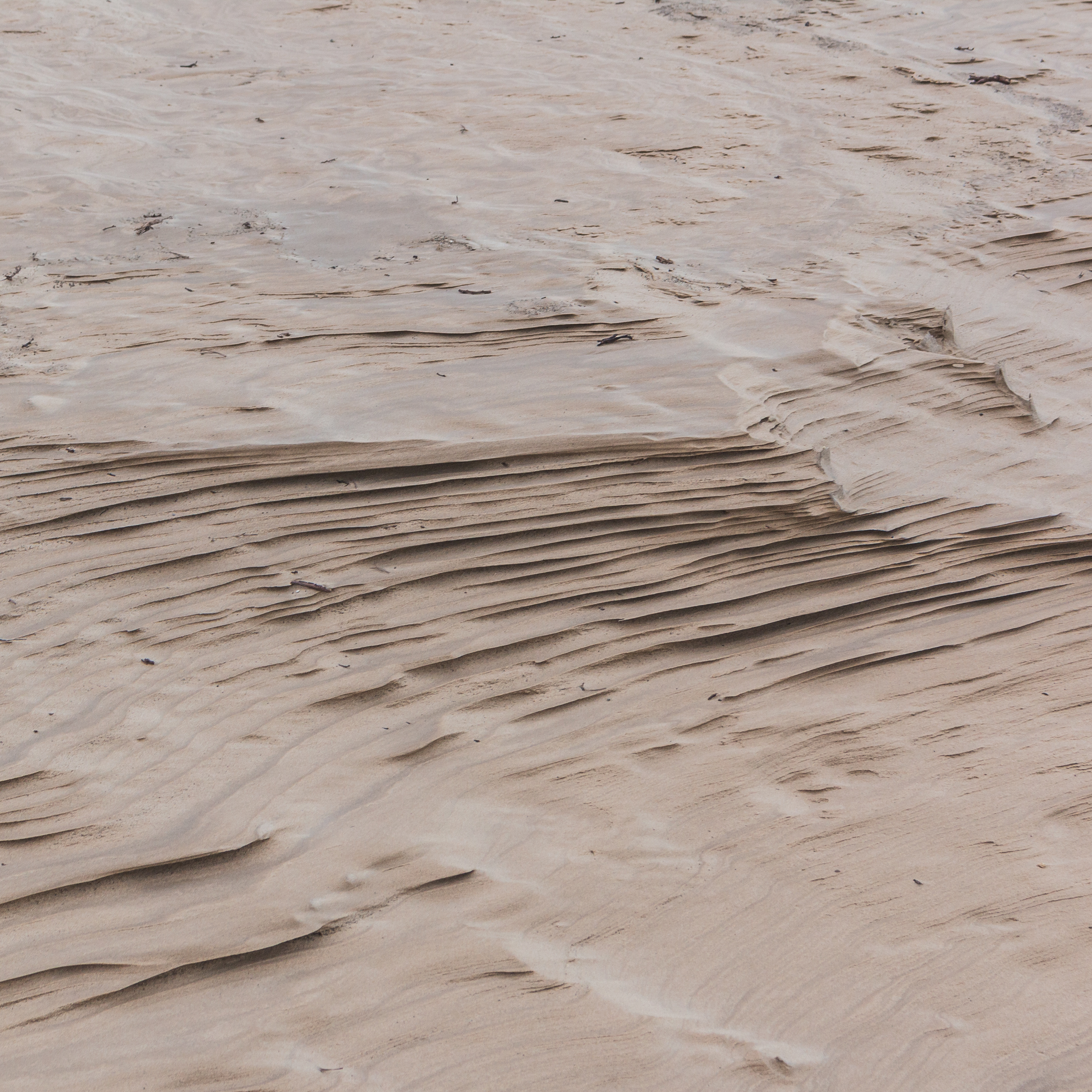 Rubjerg Knude Textures by Mike Dugenio-9.jpg