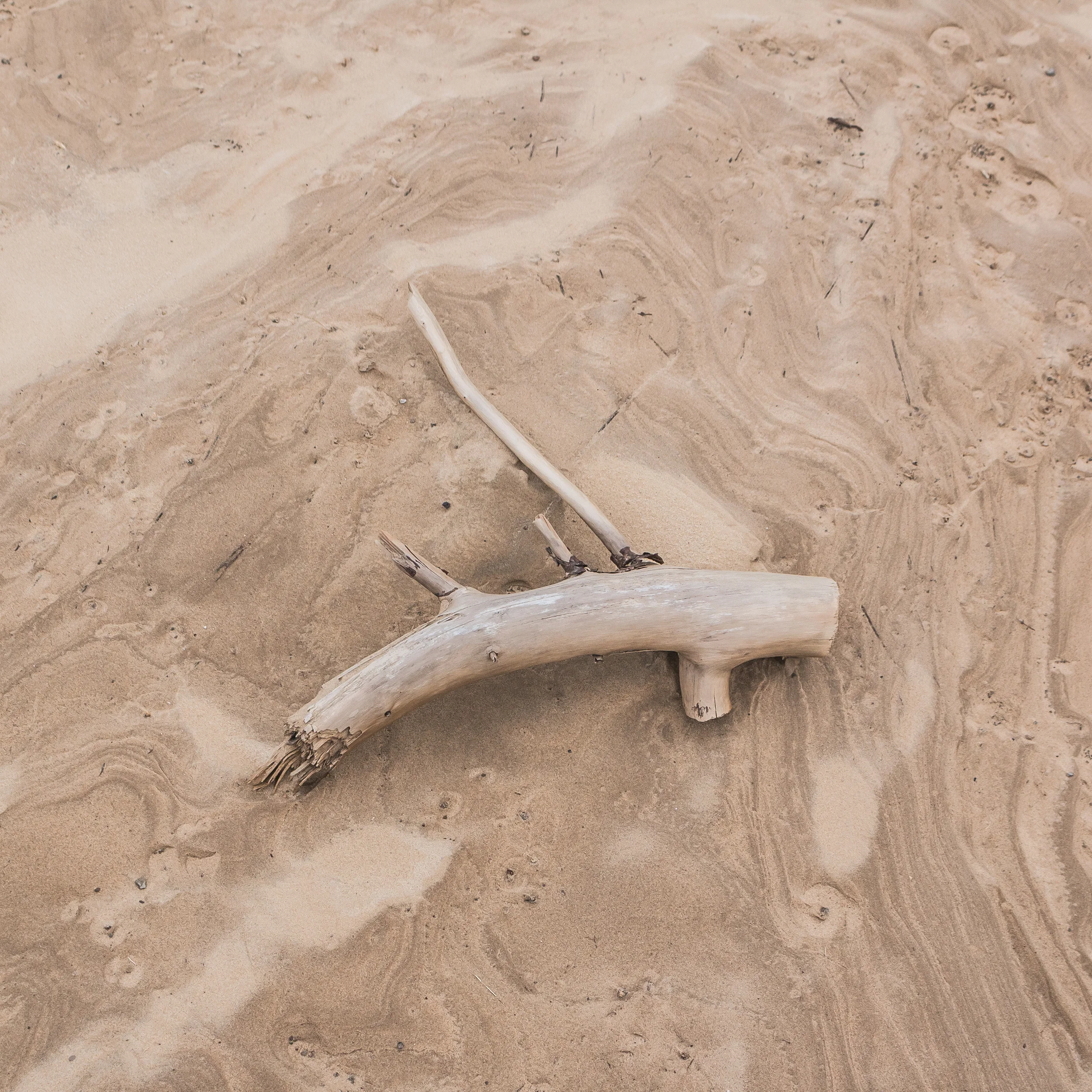 Rubjerg Knude Textures by Mike Dugenio-10.jpg