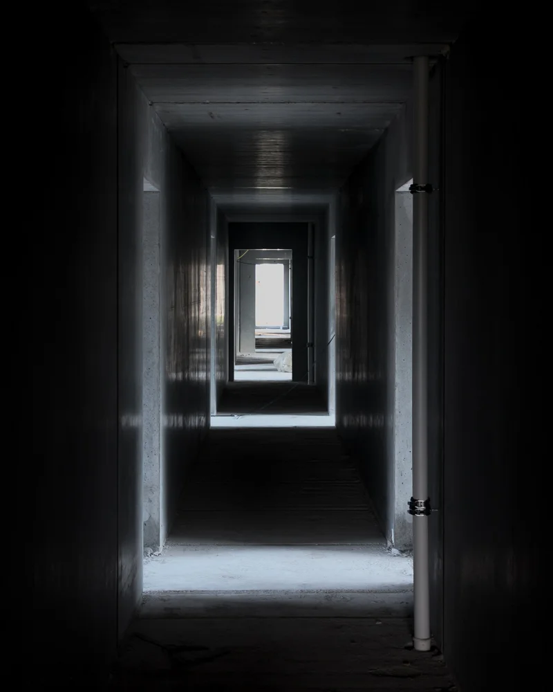 Quintessence by Mike Dugenio (1).jpg