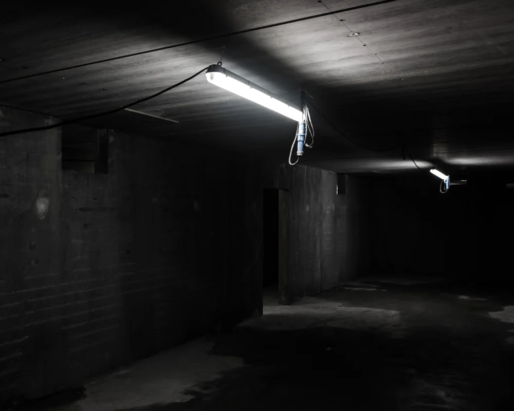 Quintessence by Mike Dugenio (2).jpg