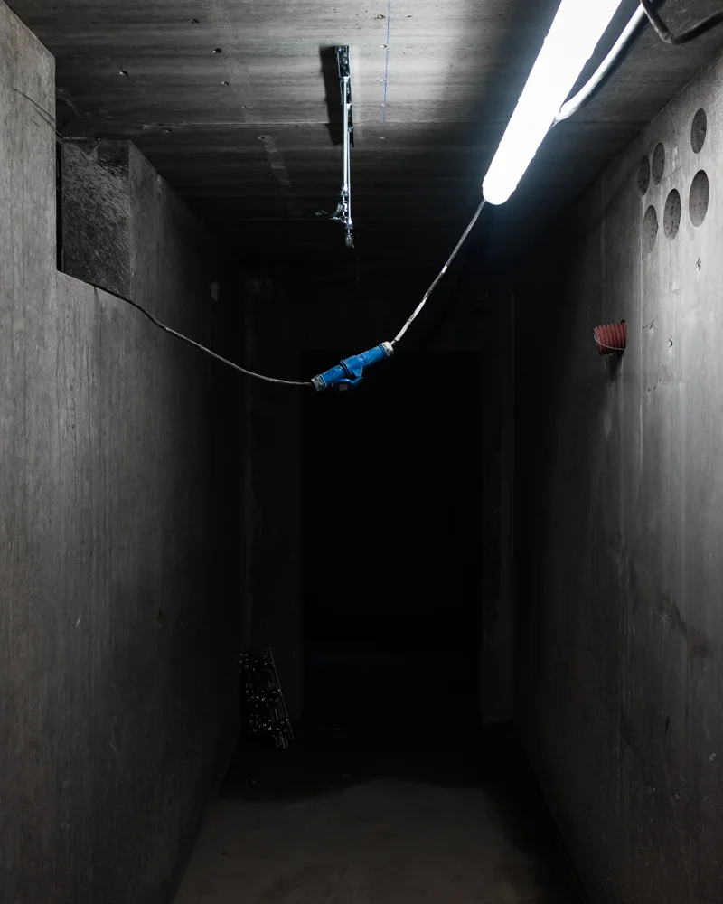 Quintessence by Mike Dugenio (4).jpg