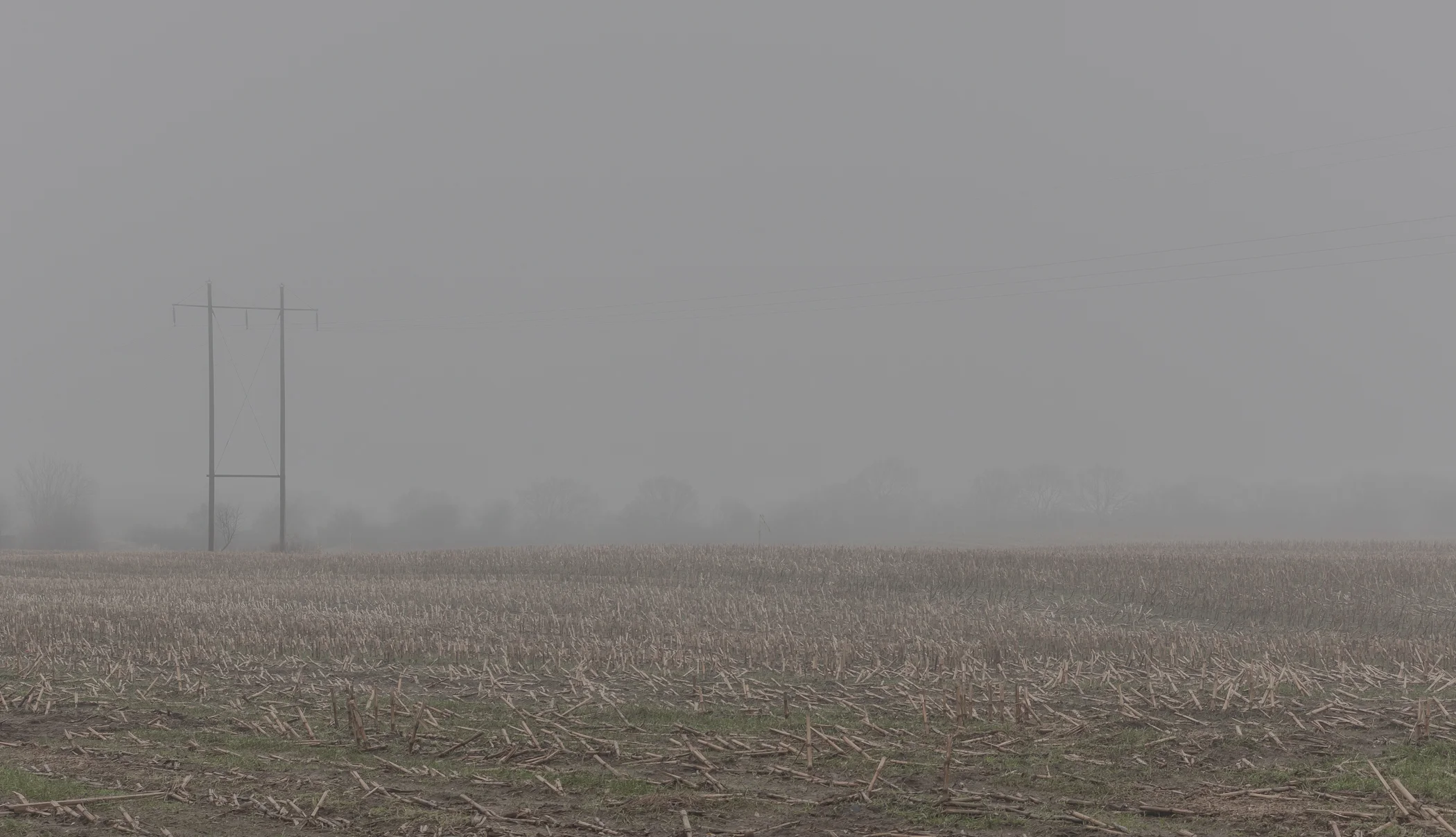 dull - Photography by Mike Dugenio (1 of 15).jpg