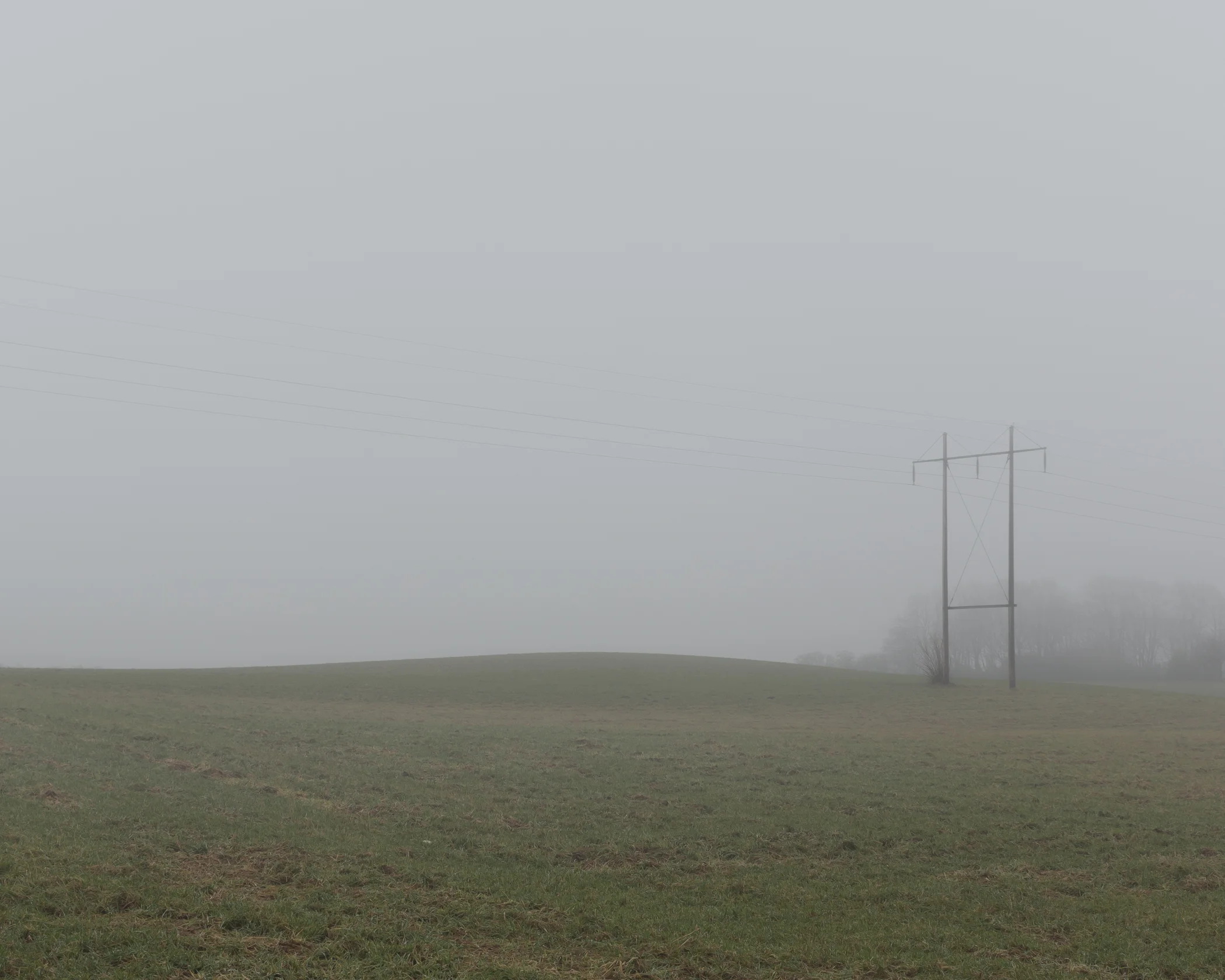 dull - Photography by Mike Dugenio (2 of 15).jpg