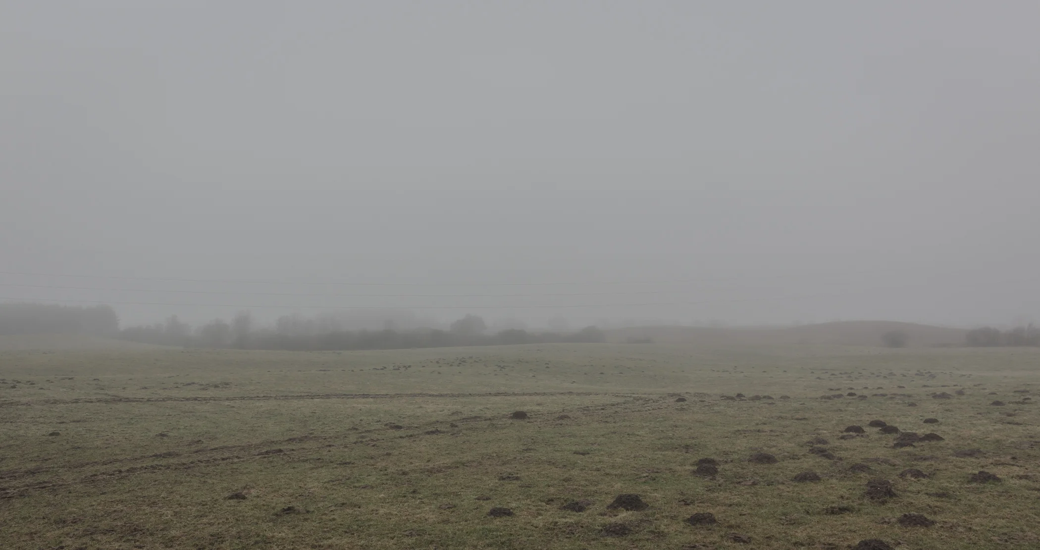 dull - Photography by Mike Dugenio (4 of 15).jpg