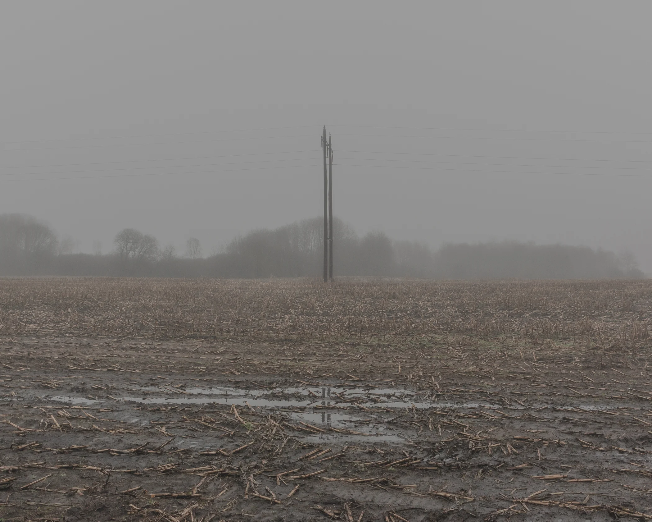 dull - Photography by Mike Dugenio (6 of 15).jpg
