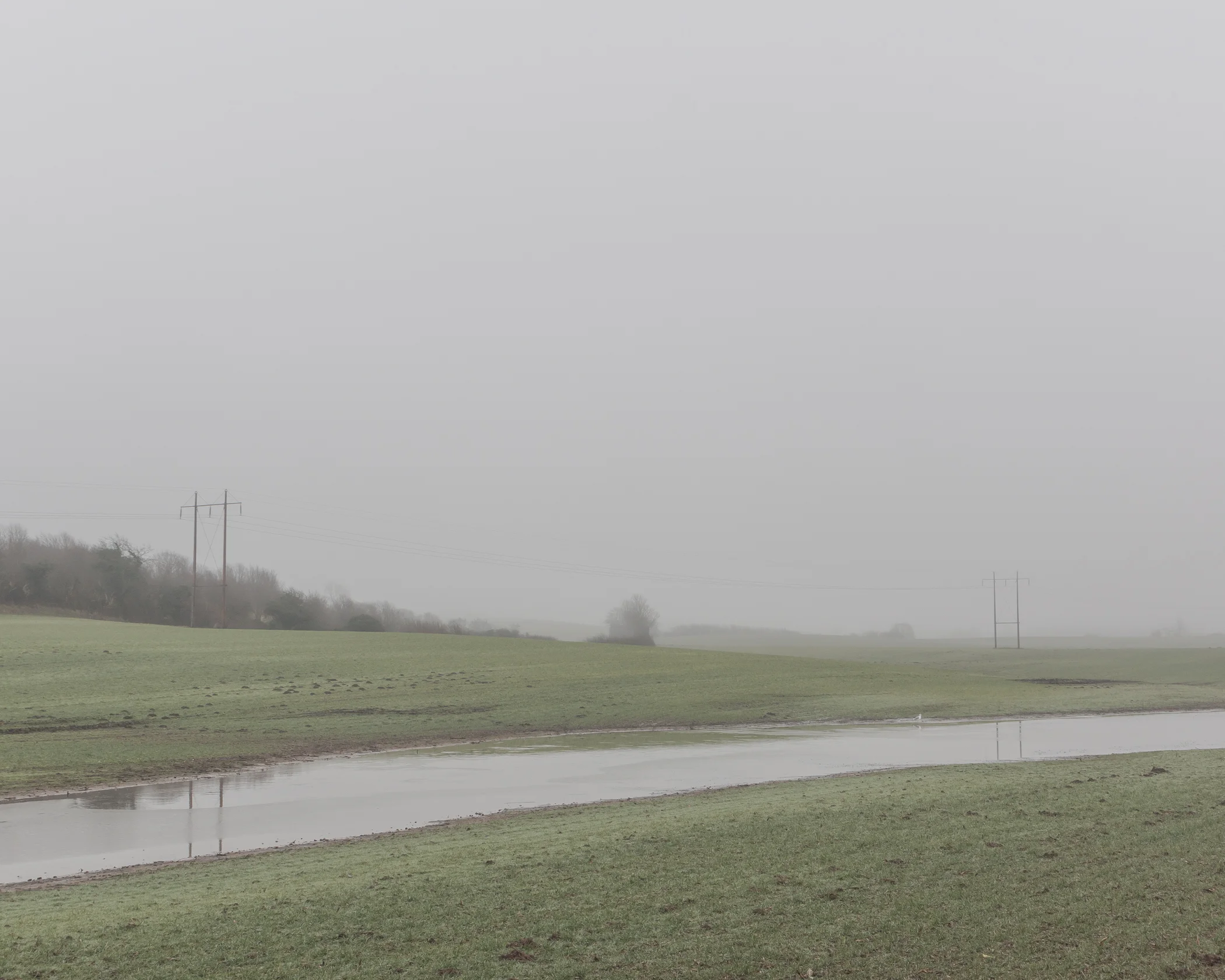 dull - Photography by Mike Dugenio (8 of 15).jpg