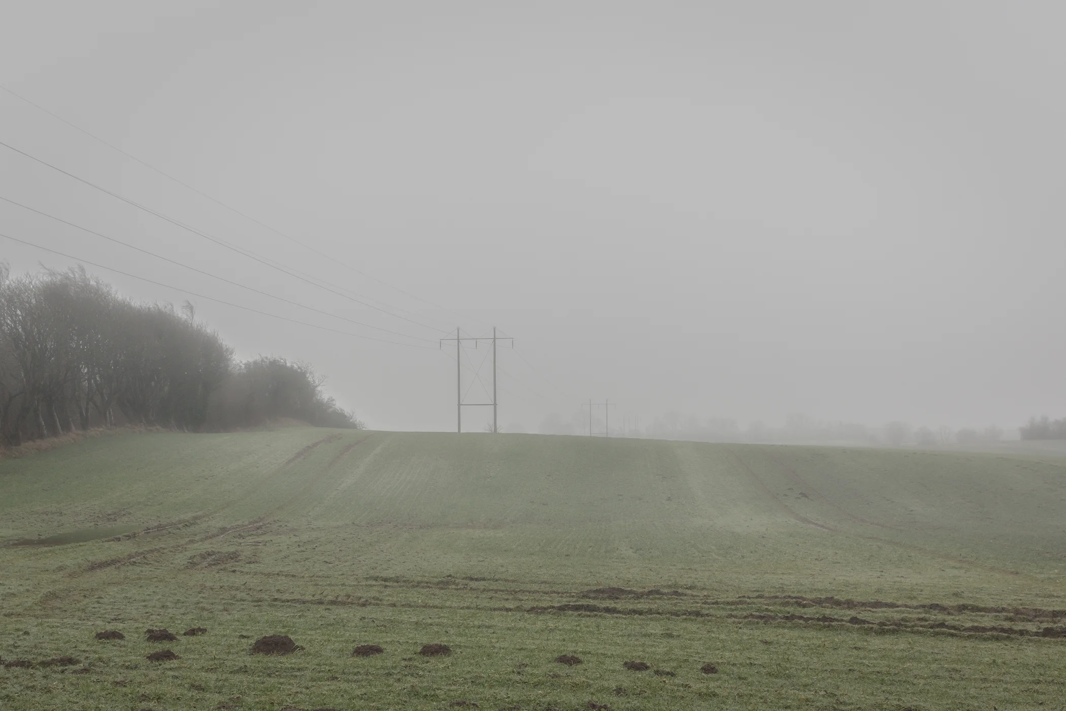 dull - Photography by Mike Dugenio (11 of 15).jpg