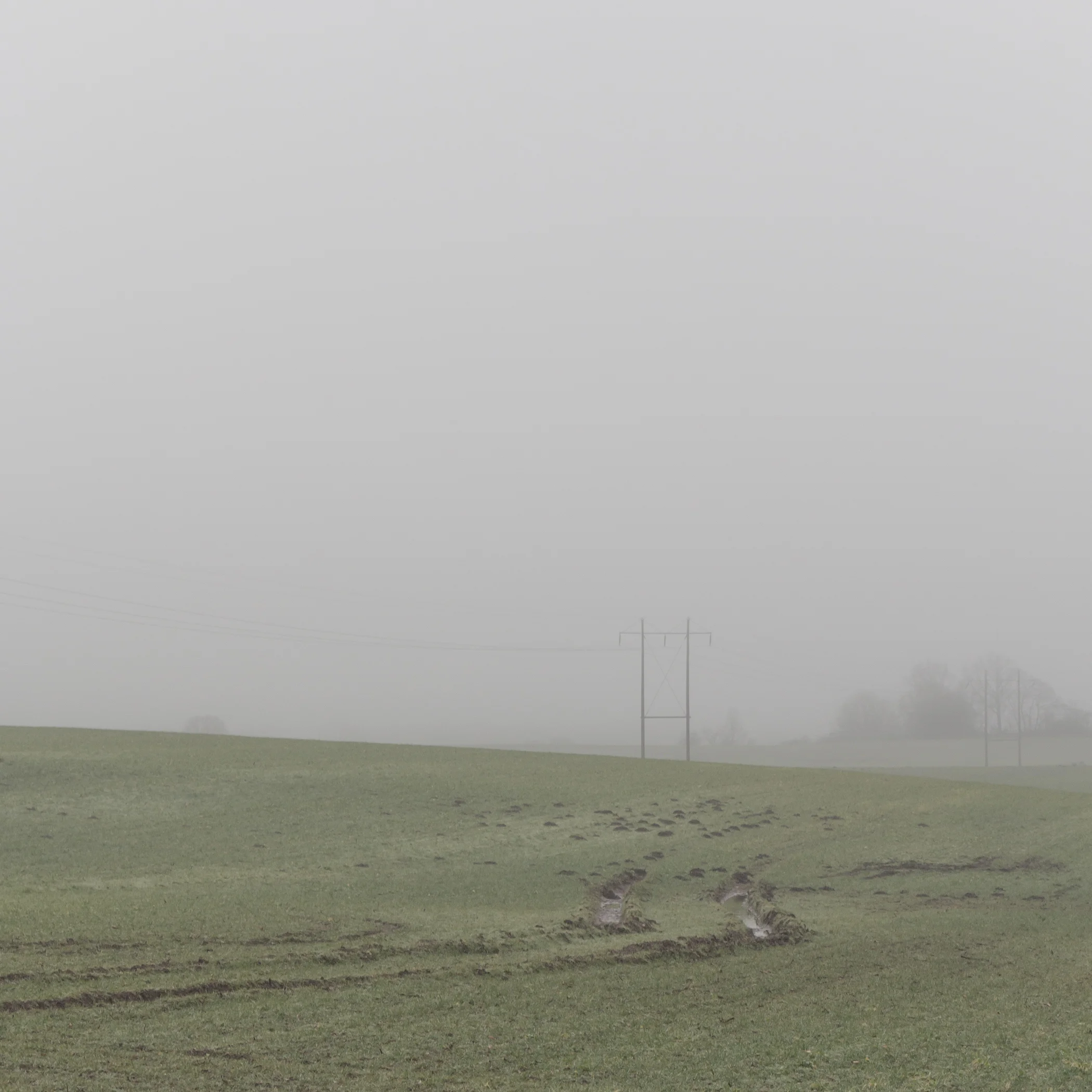 dull - Photography by Mike Dugenio (10 of 15).jpg