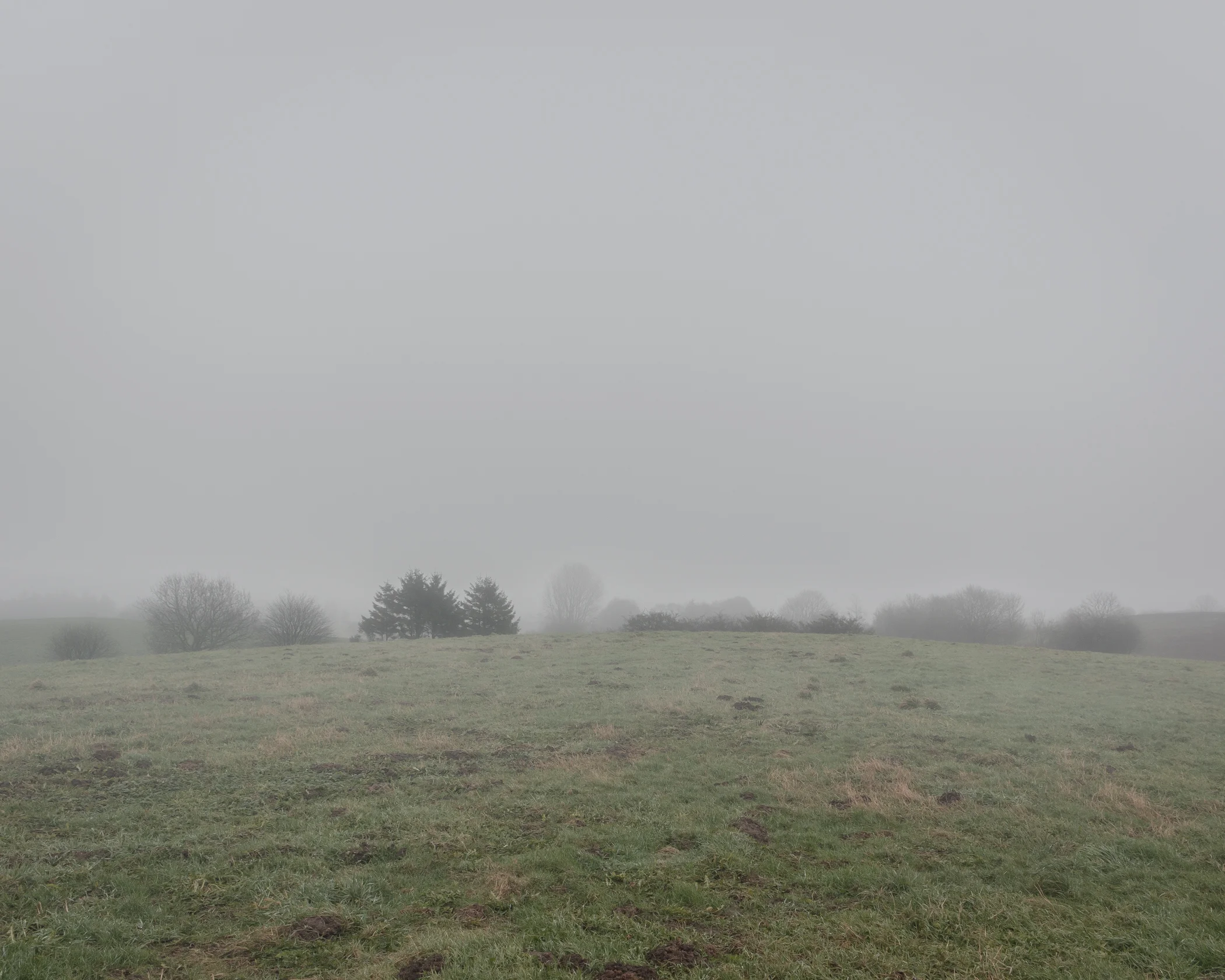 dull - Photography by Mike Dugenio (12 of 15).jpg