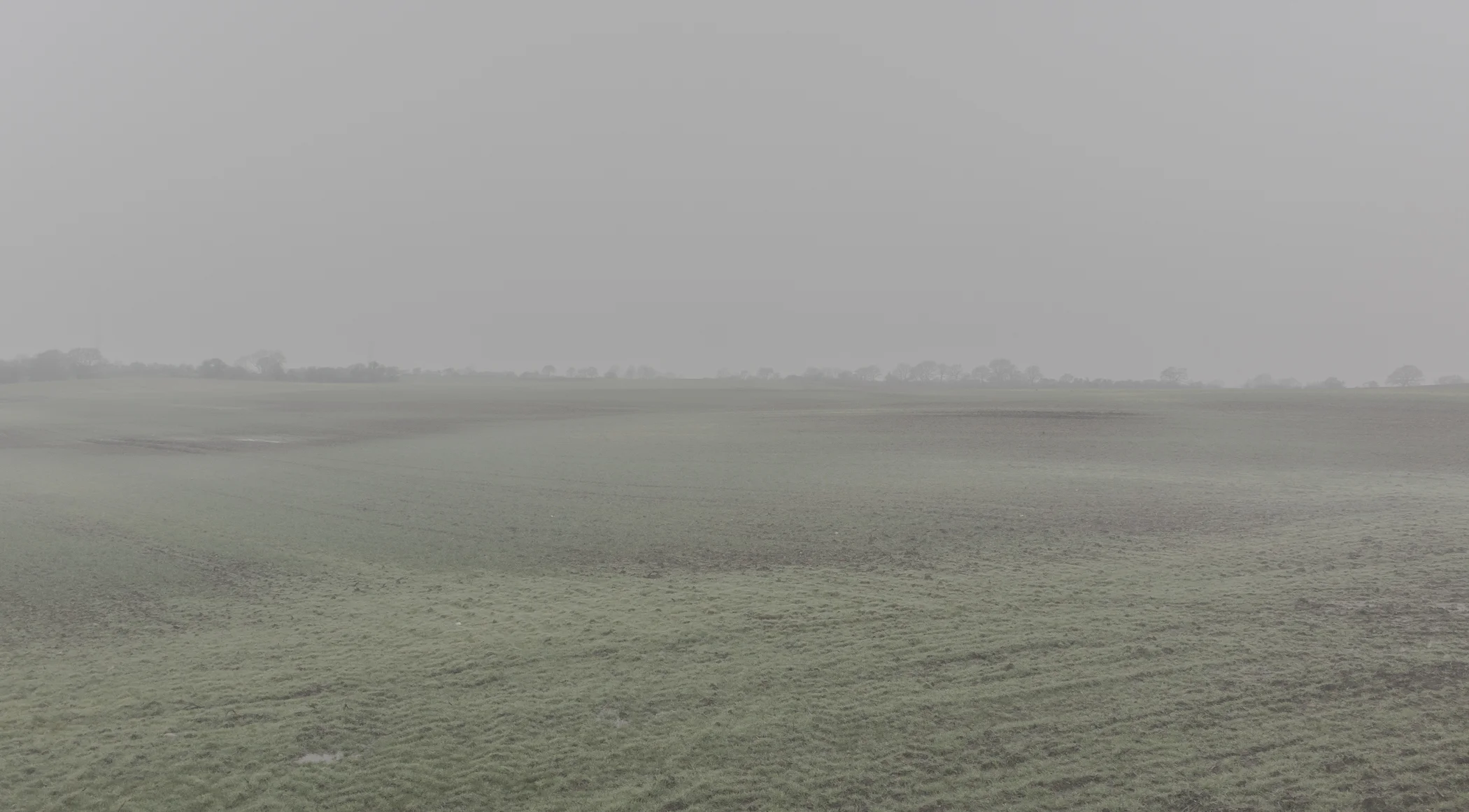 dull - Photography by Mike Dugenio (15 of 15).jpg