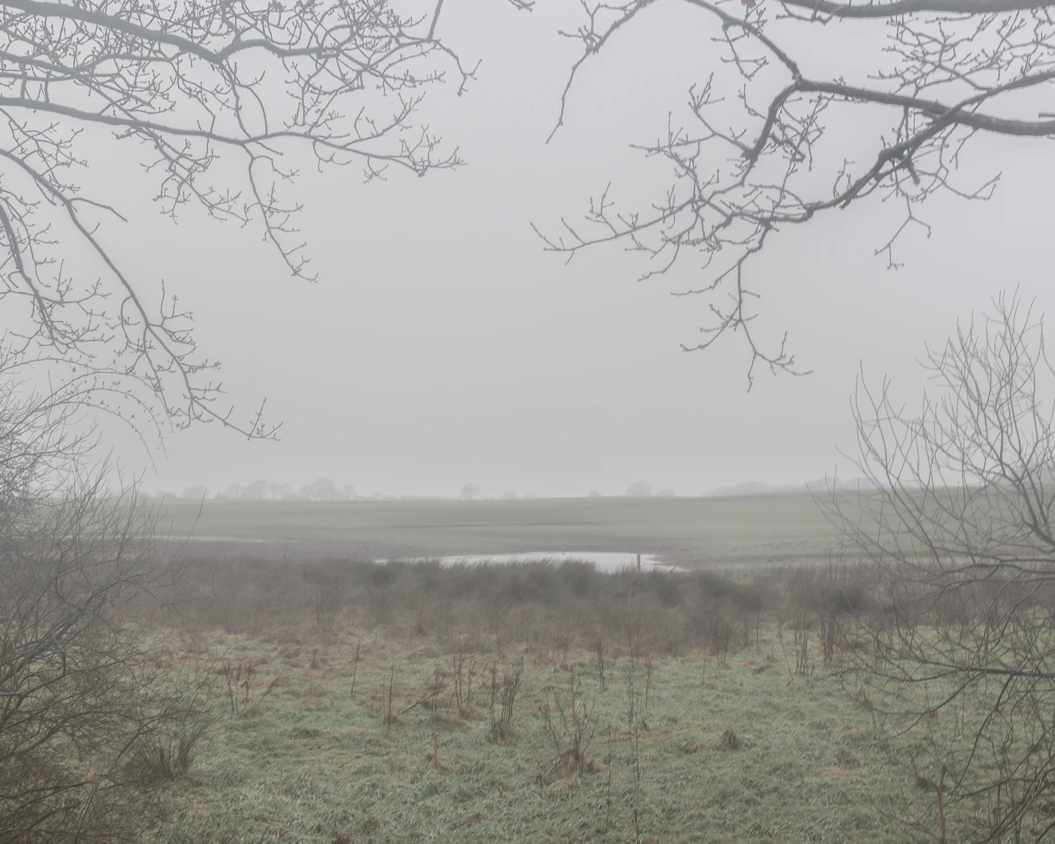 dull - Photography by Mike Dugenio (14 of 15).jpg