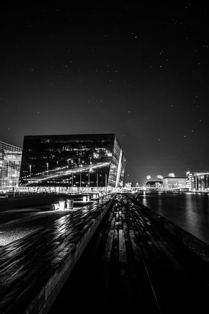 The Black Diamond - Schmidt Hammer Lassen (5).jpg