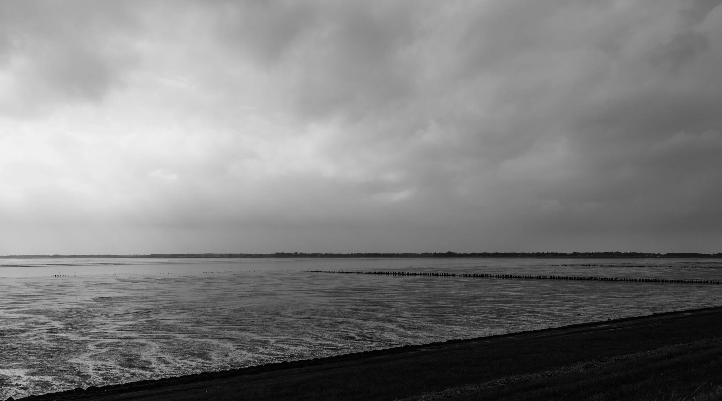 ASH -l Mike Dugenio (3 of 7).jpg