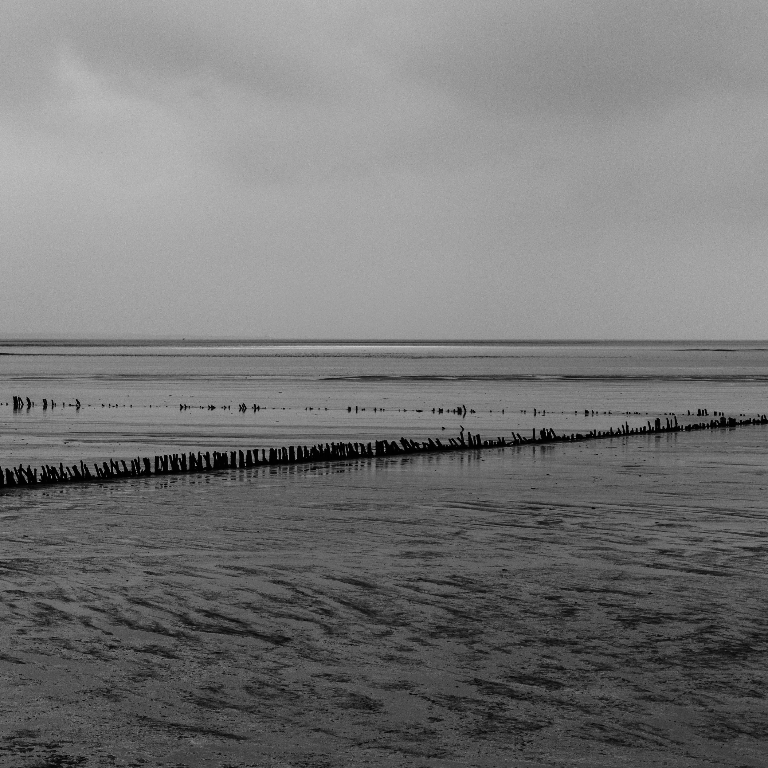 ASH -l Mike Dugenio (2 of 7).jpg